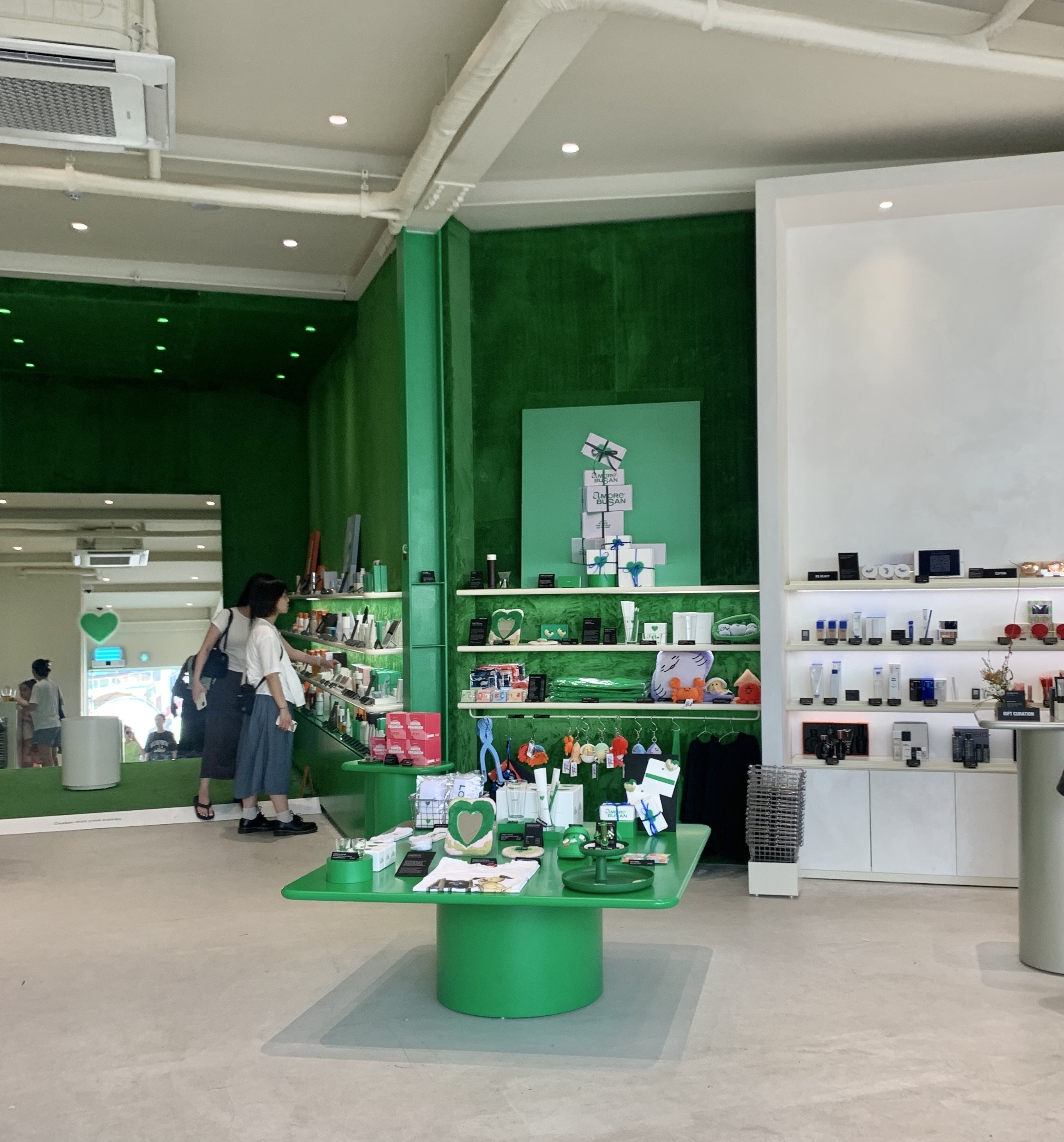 피드이미지정보-3