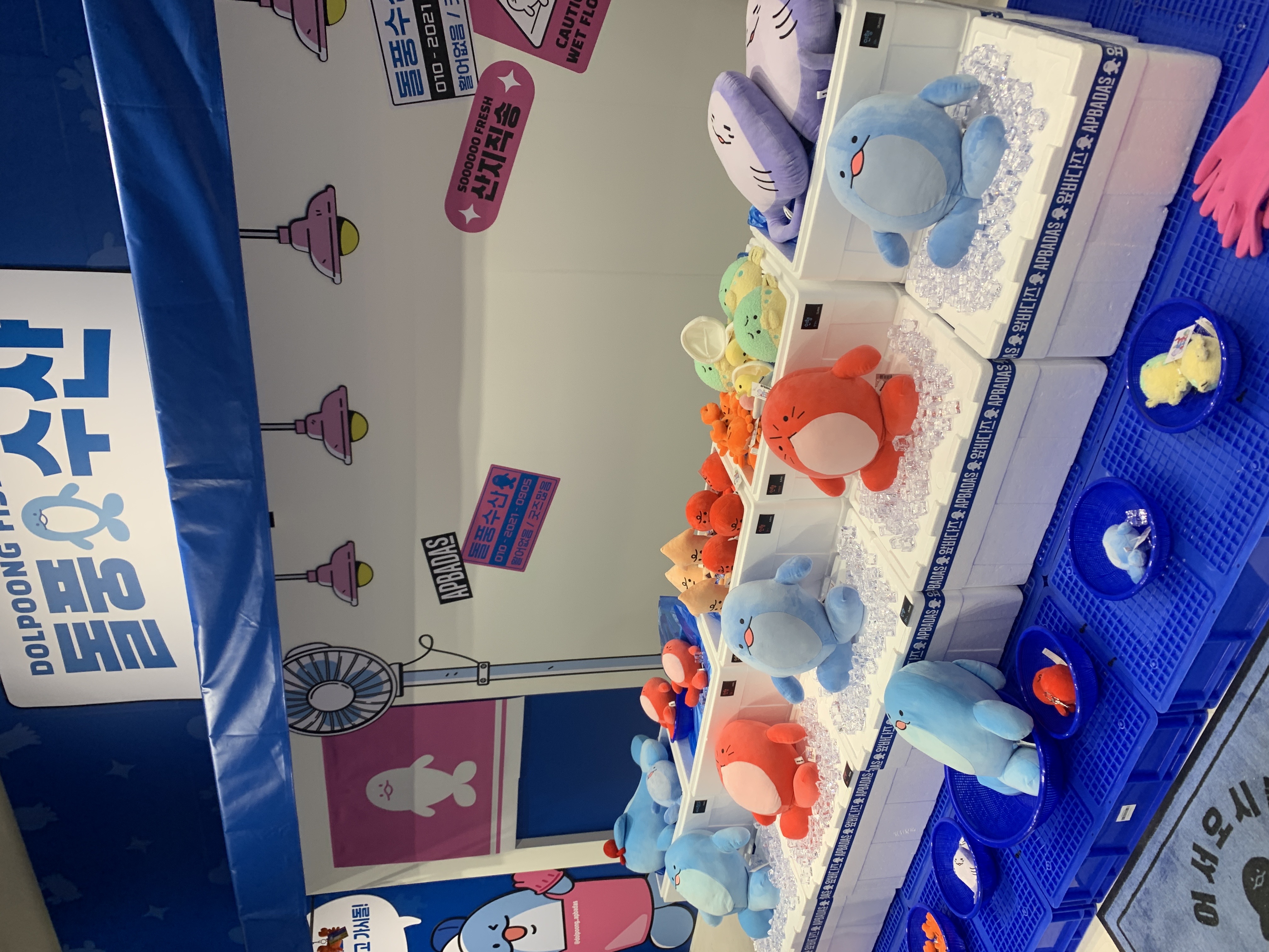 피드이미지정보-0