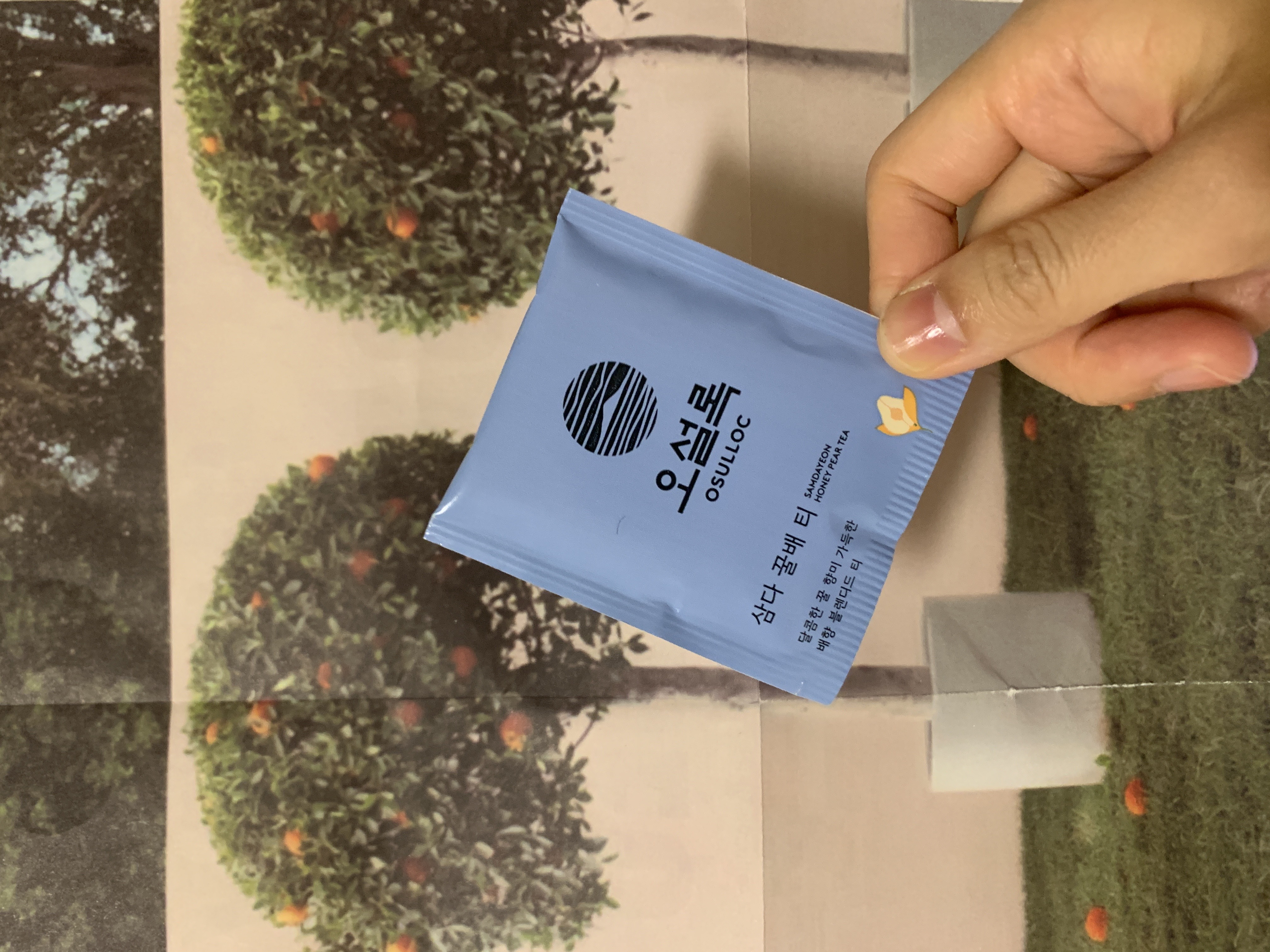 피드이미지정보-1