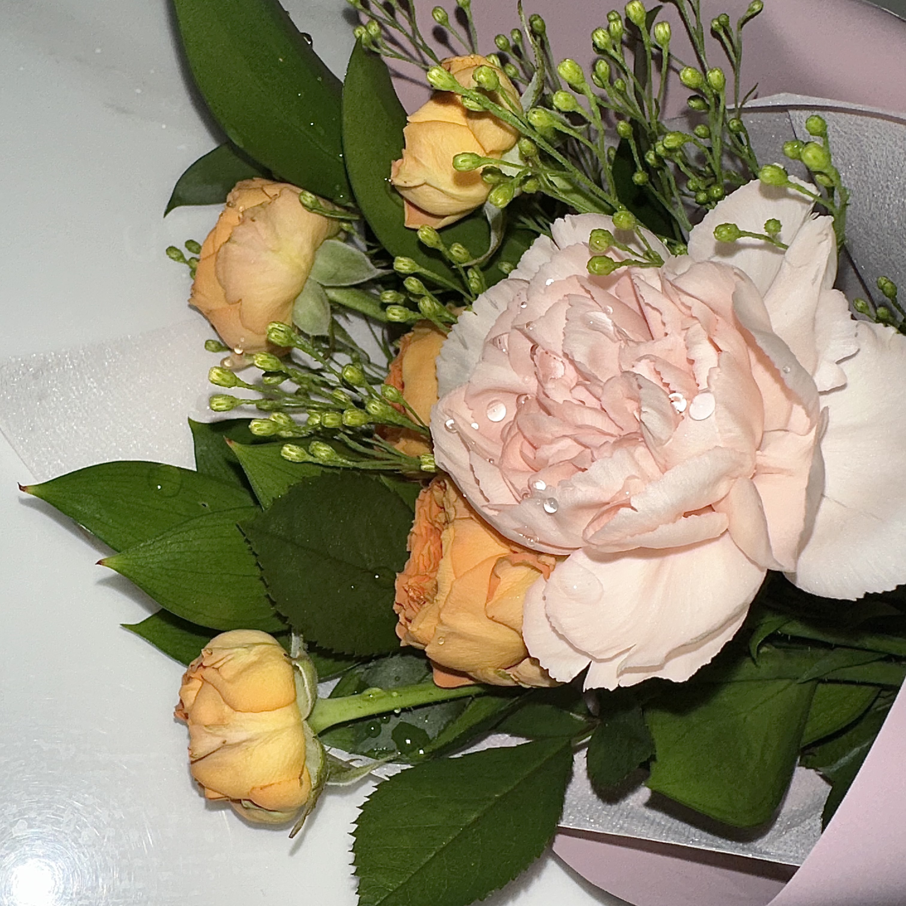 피드이미지정보-2