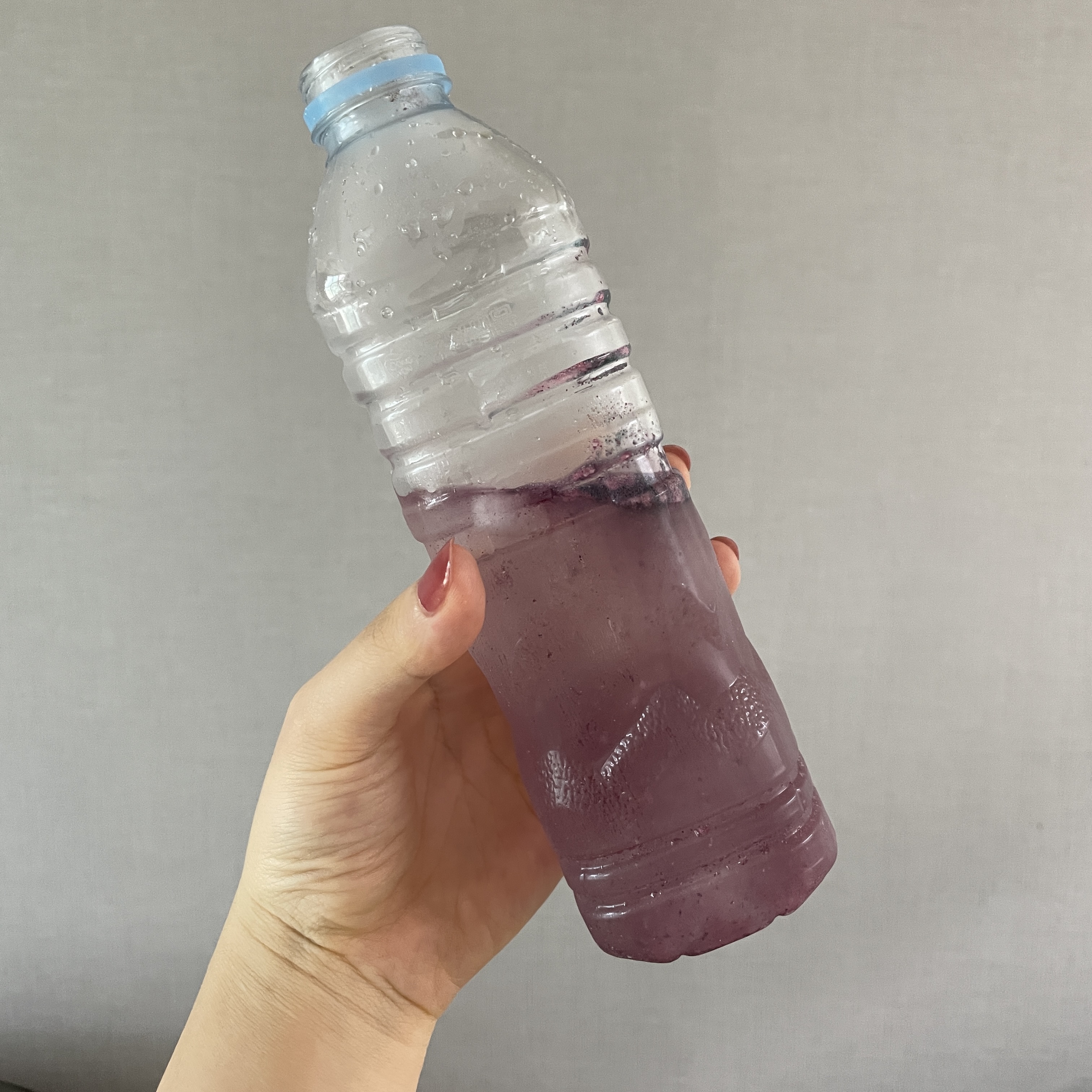 피드이미지정보-3