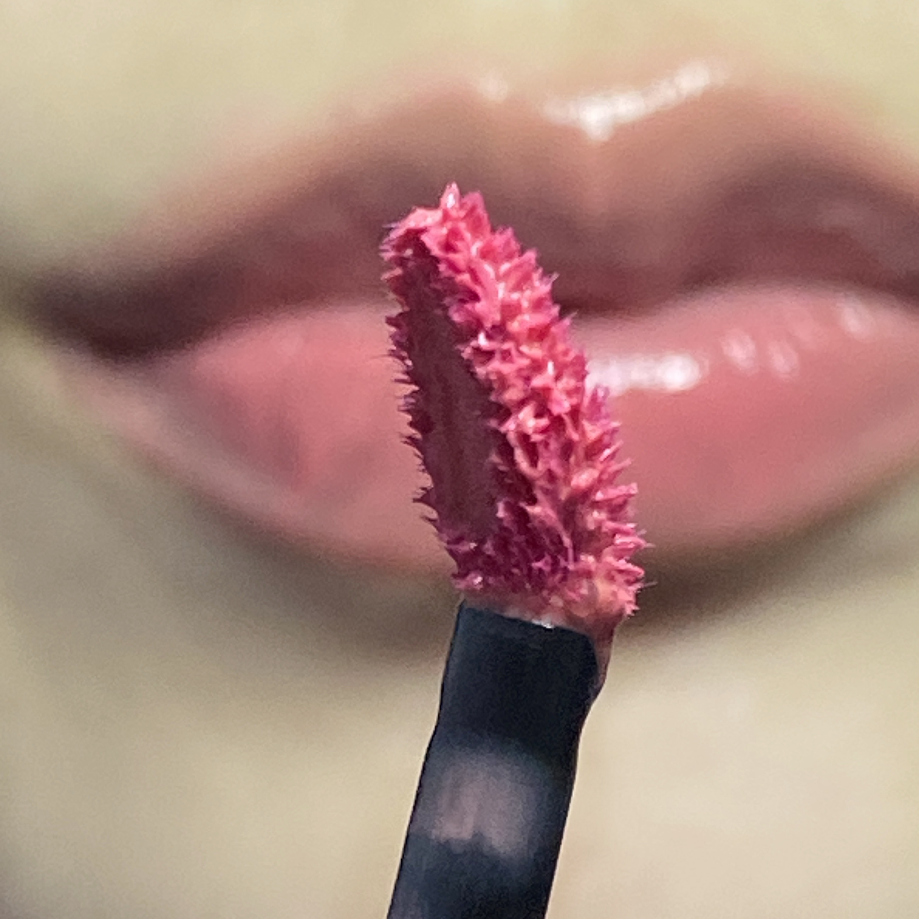 피드이미지정보-2