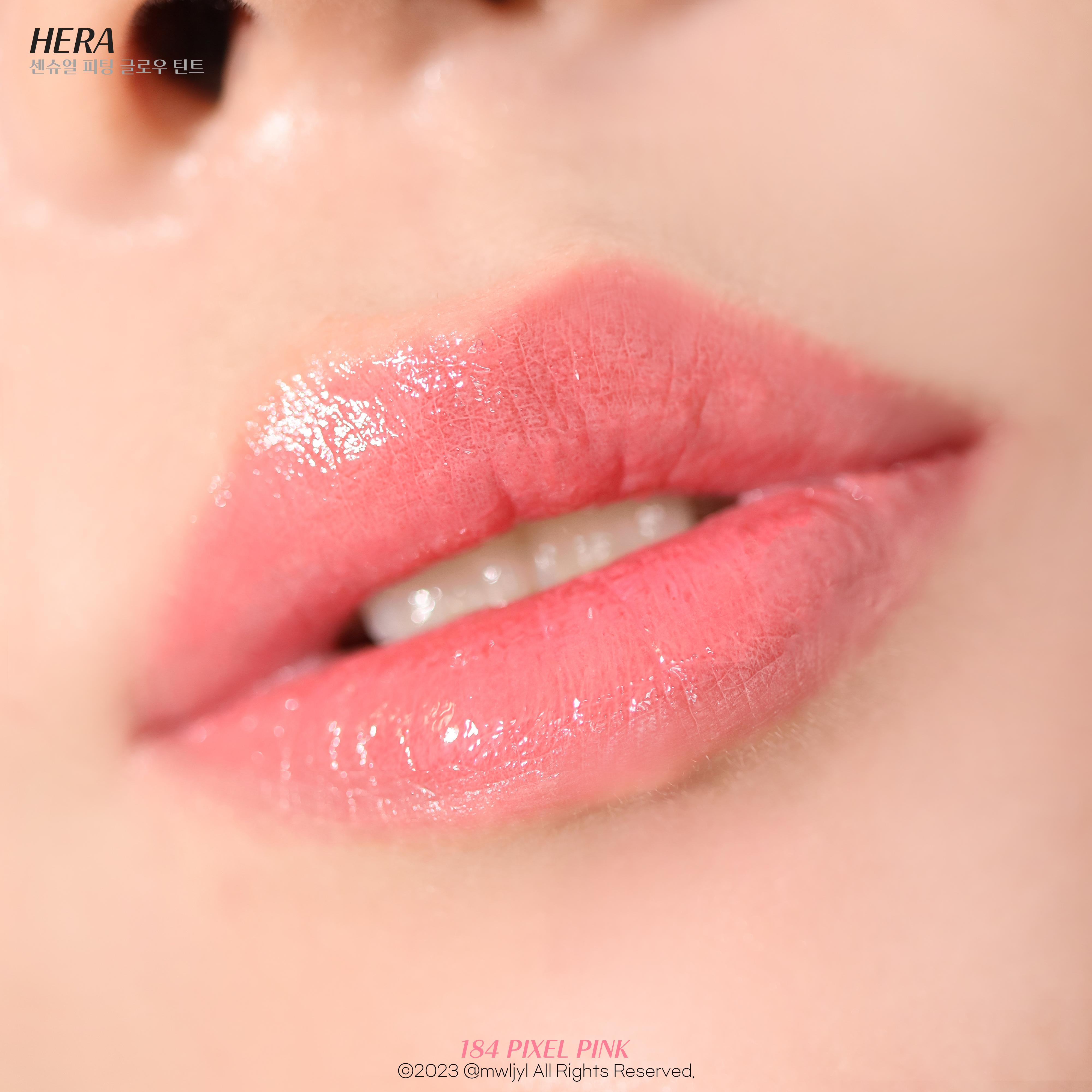 피드이미지정보-6