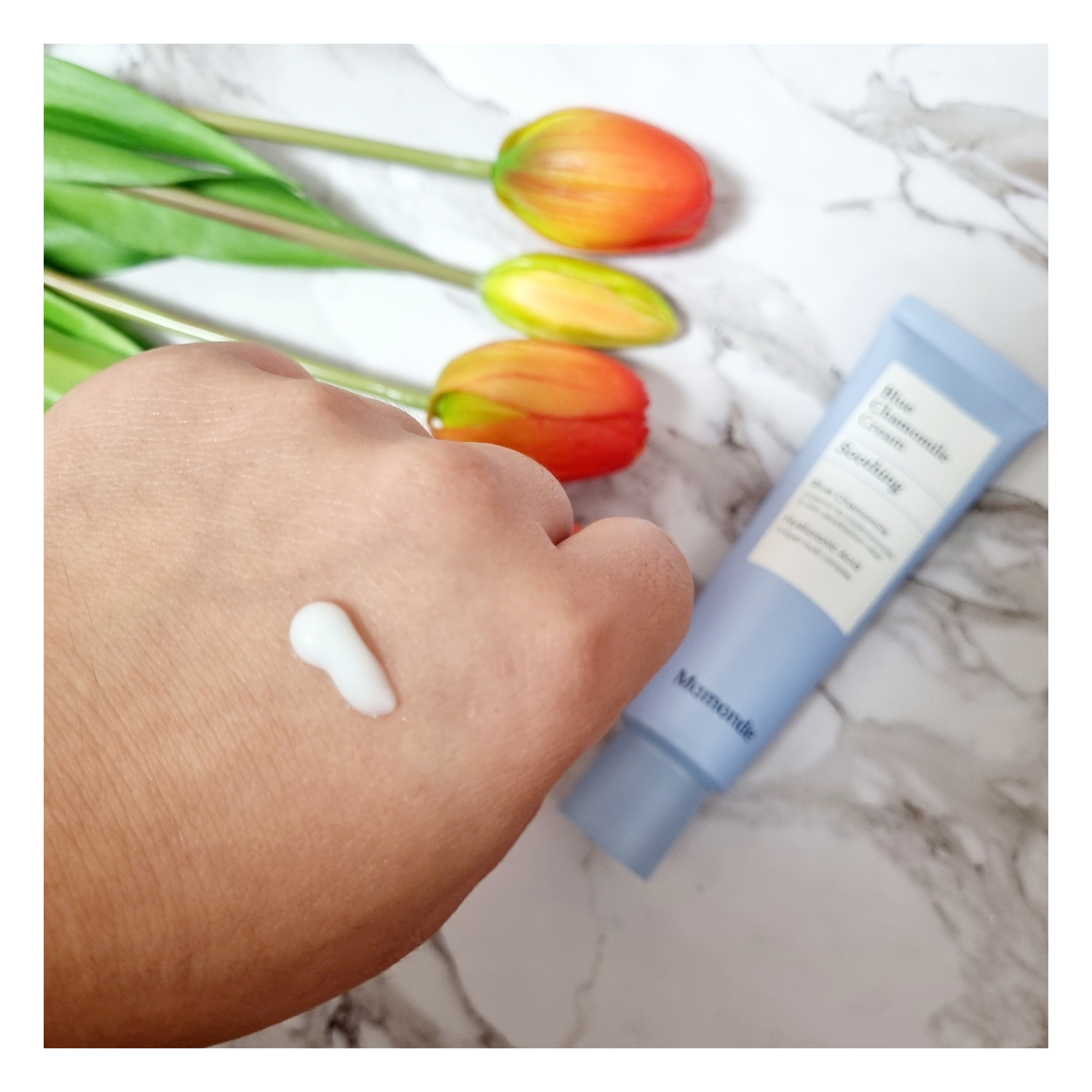 피드이미지정보-2