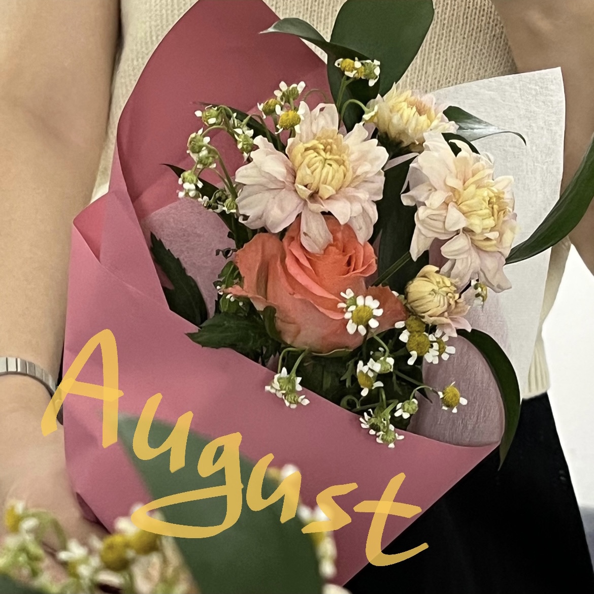 피드이미지정보-0