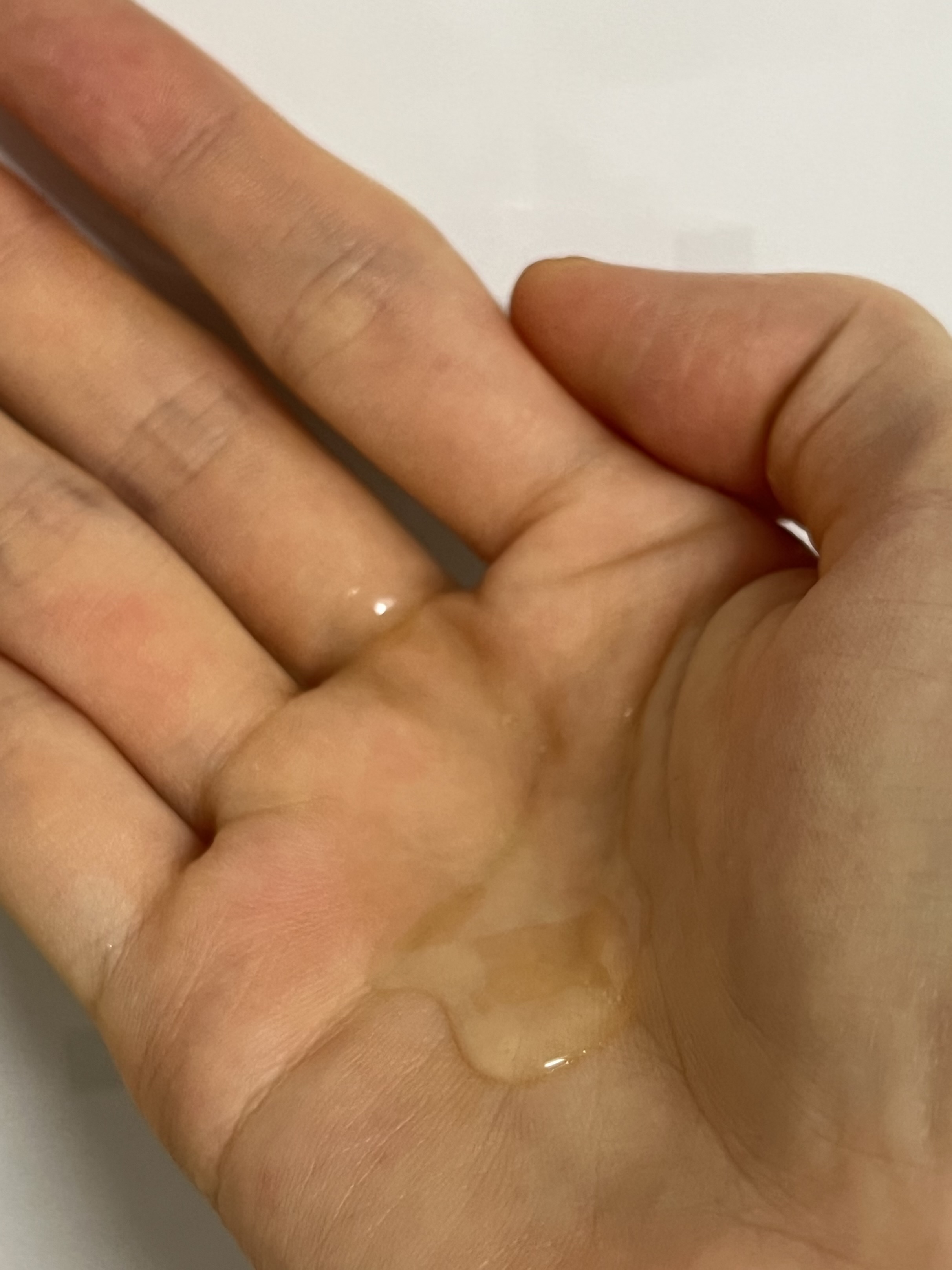 피드이미지정보-2