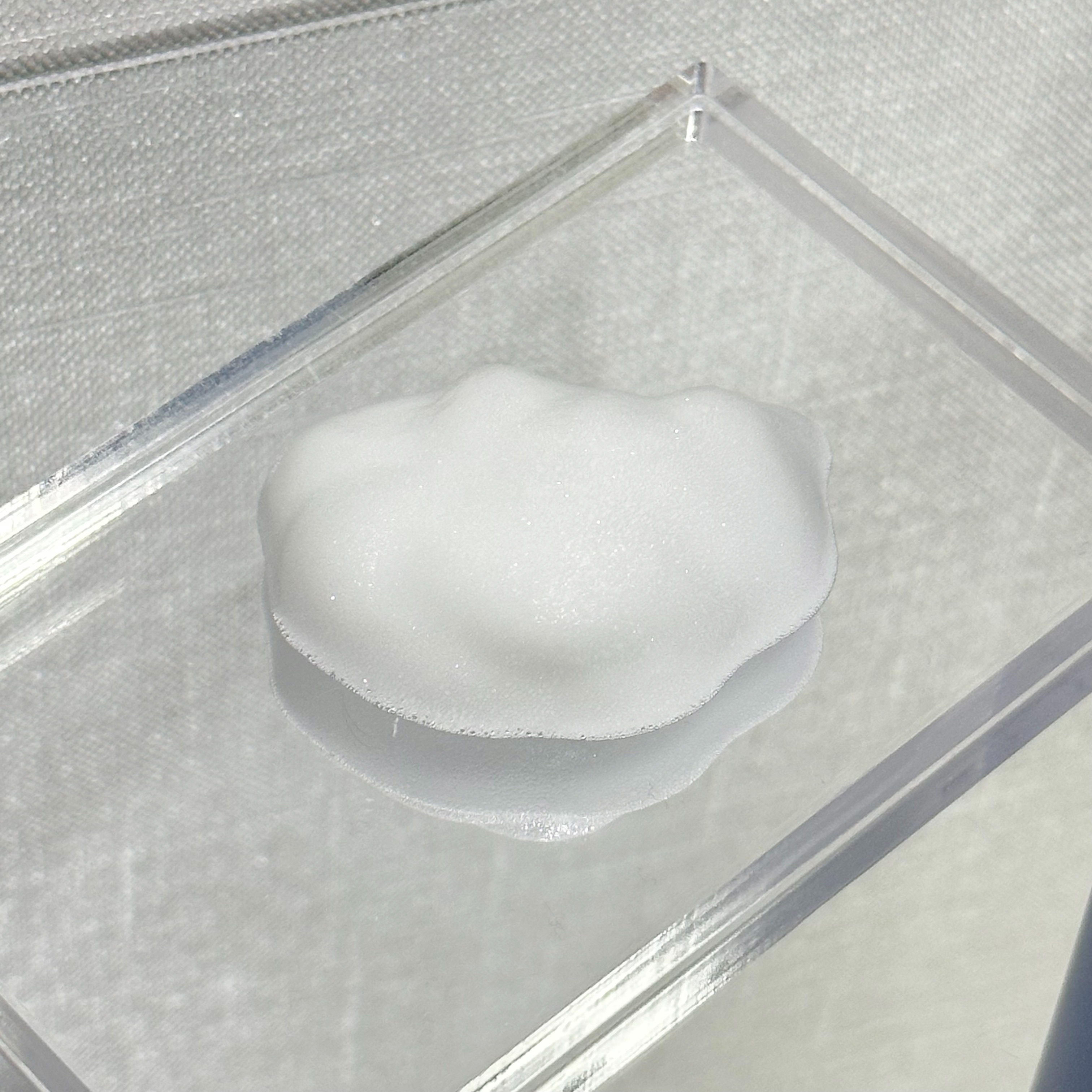 피드이미지정보-2