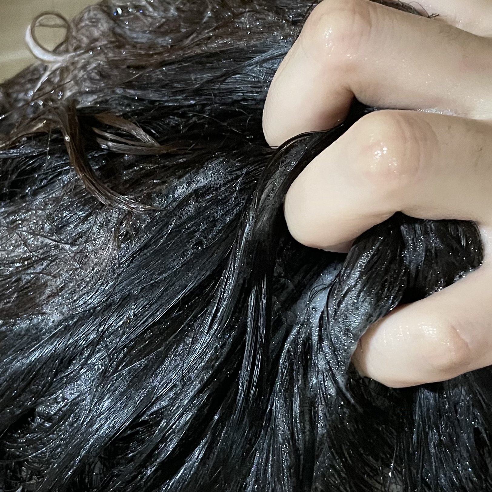 피드이미지정보-2