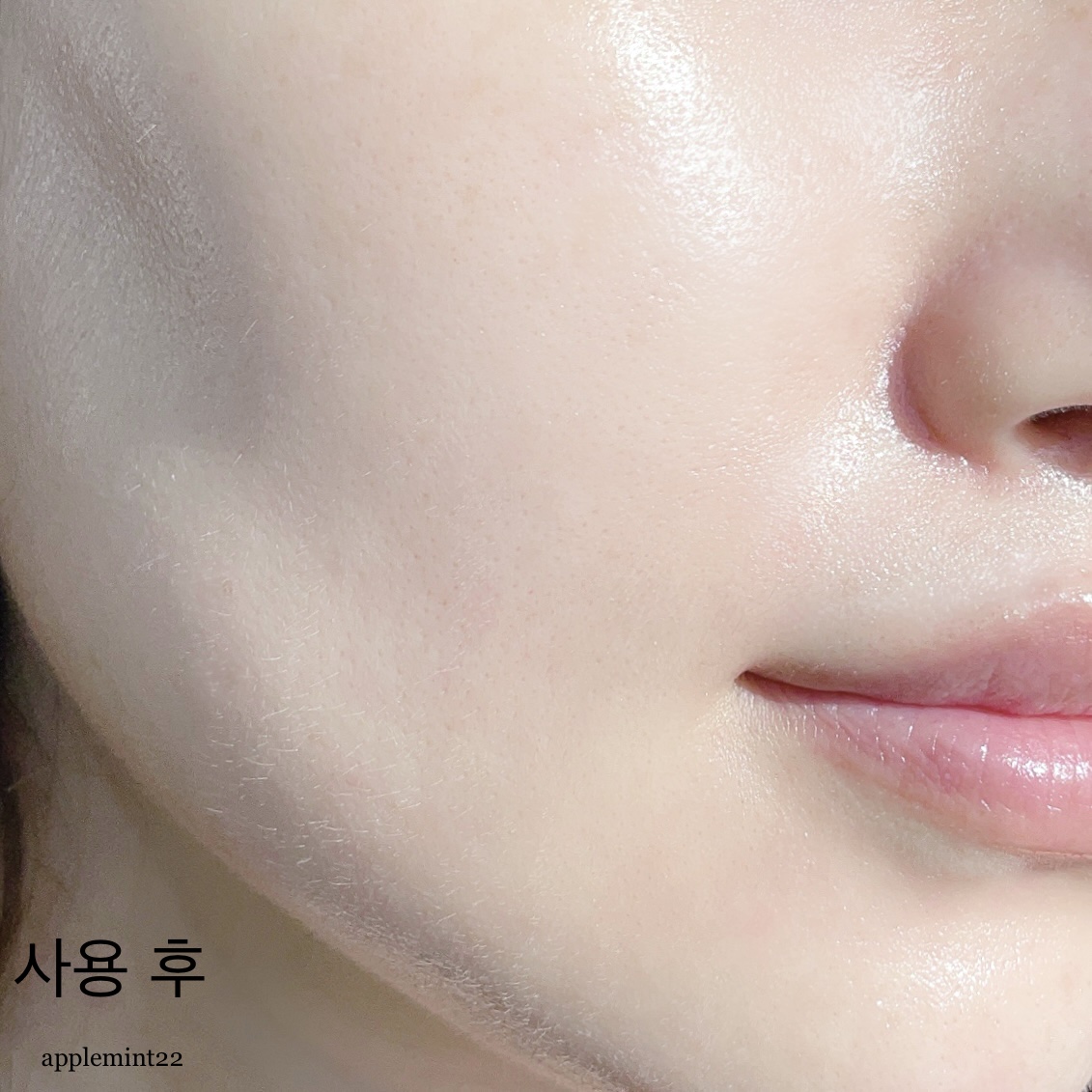 피드이미지정보-6