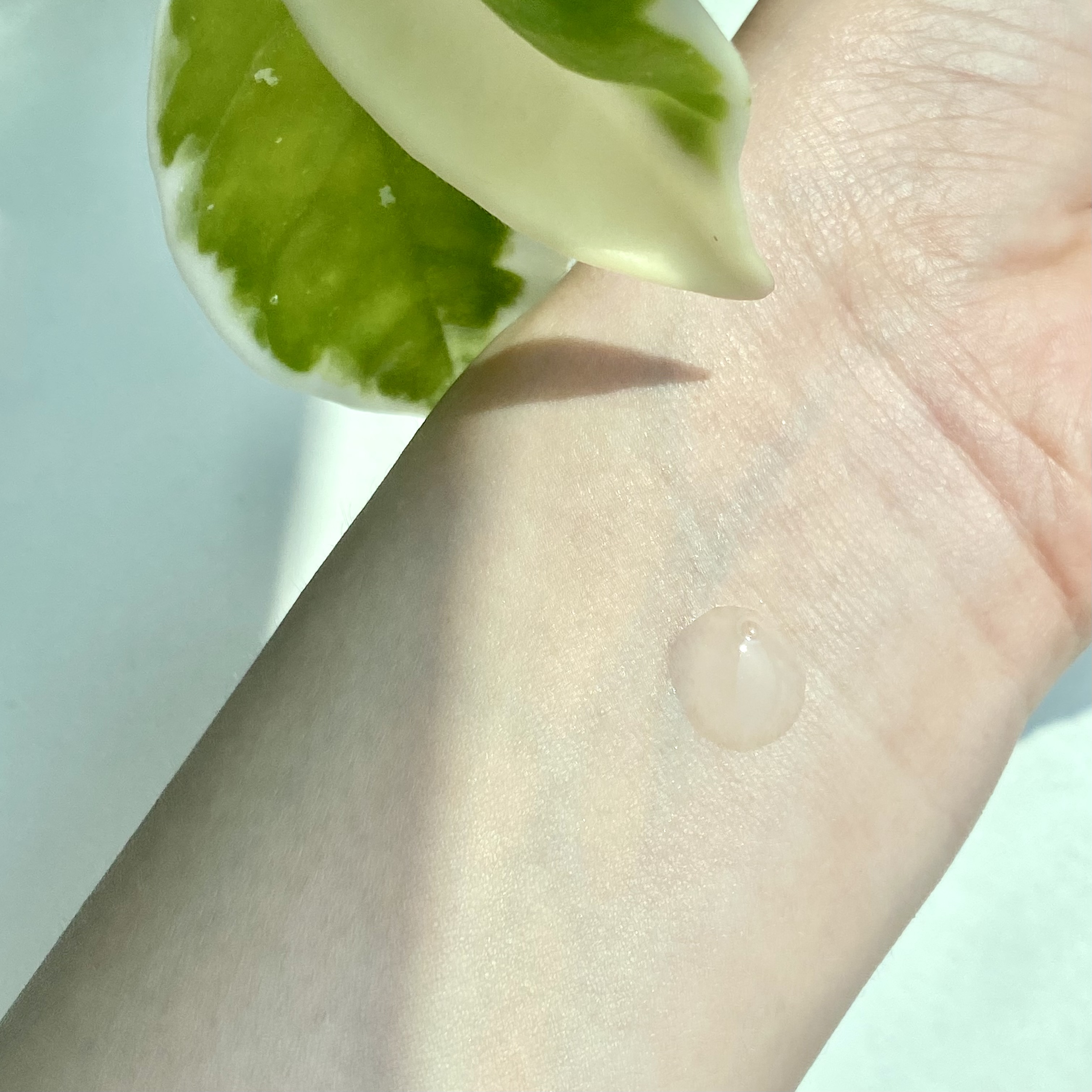 피드이미지정보-1