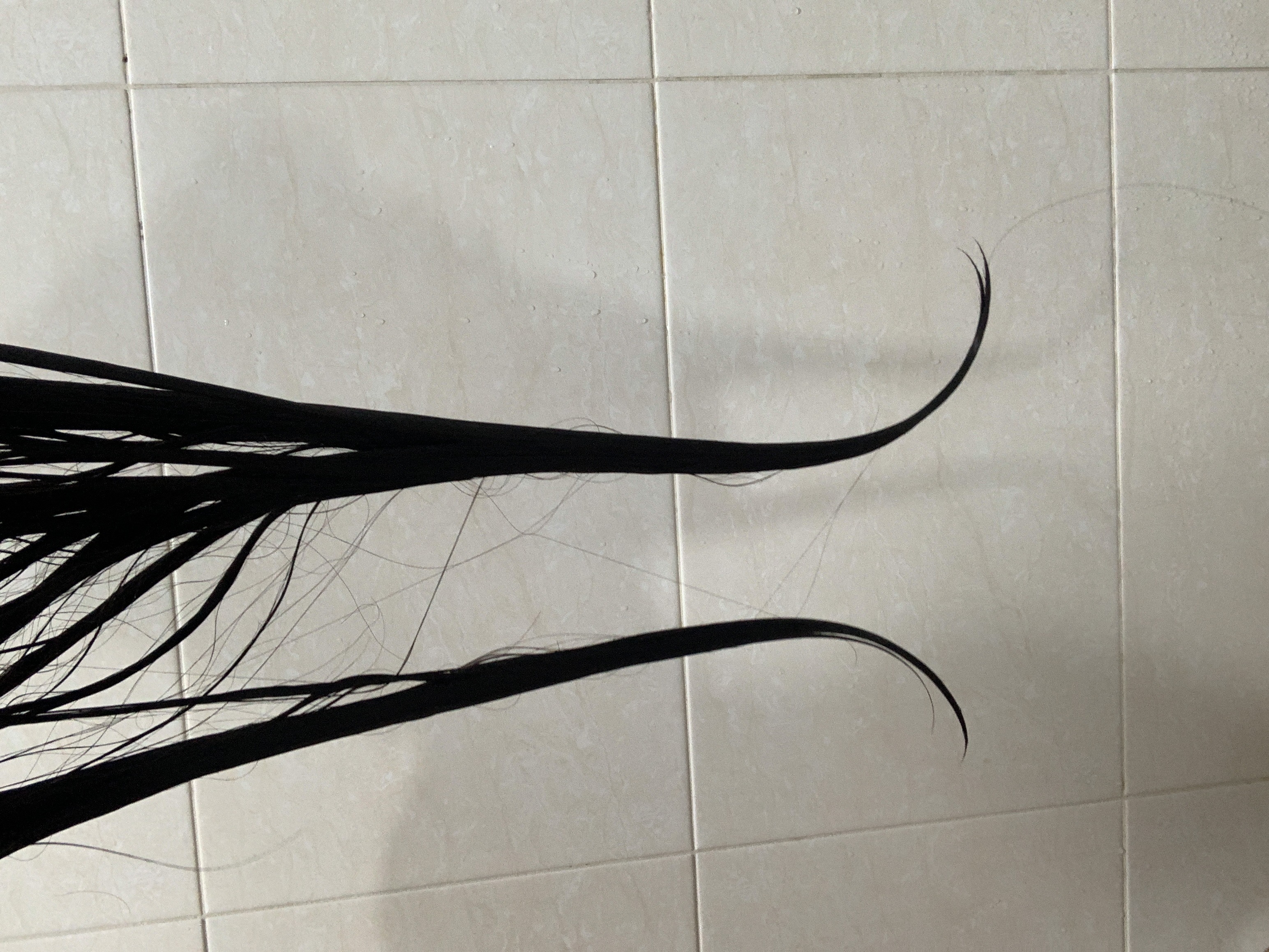 피드이미지정보-4