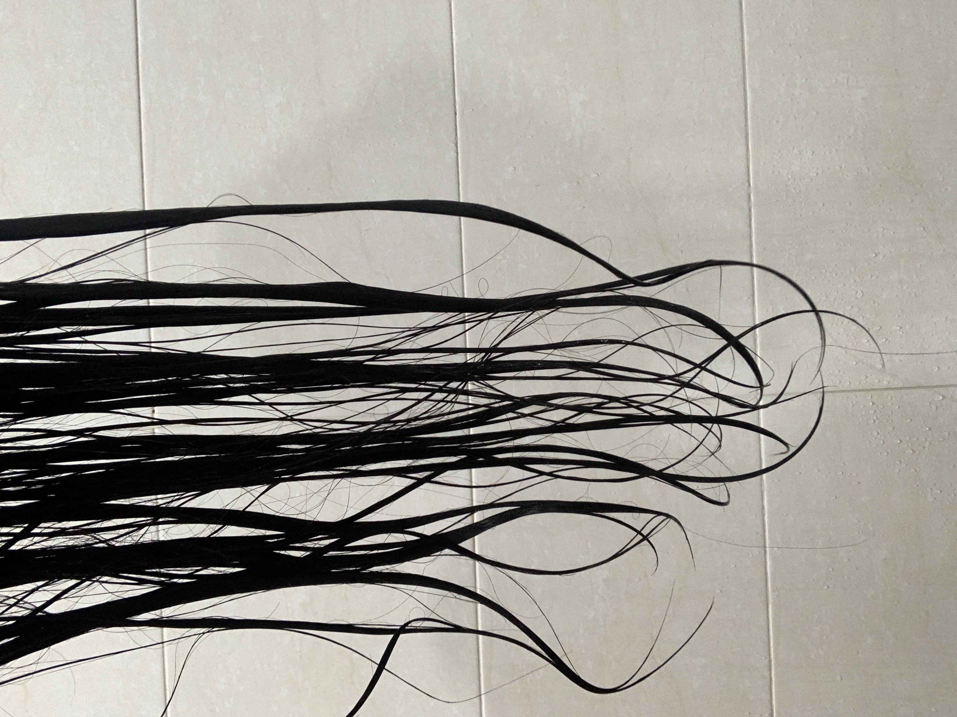 피드이미지정보-3