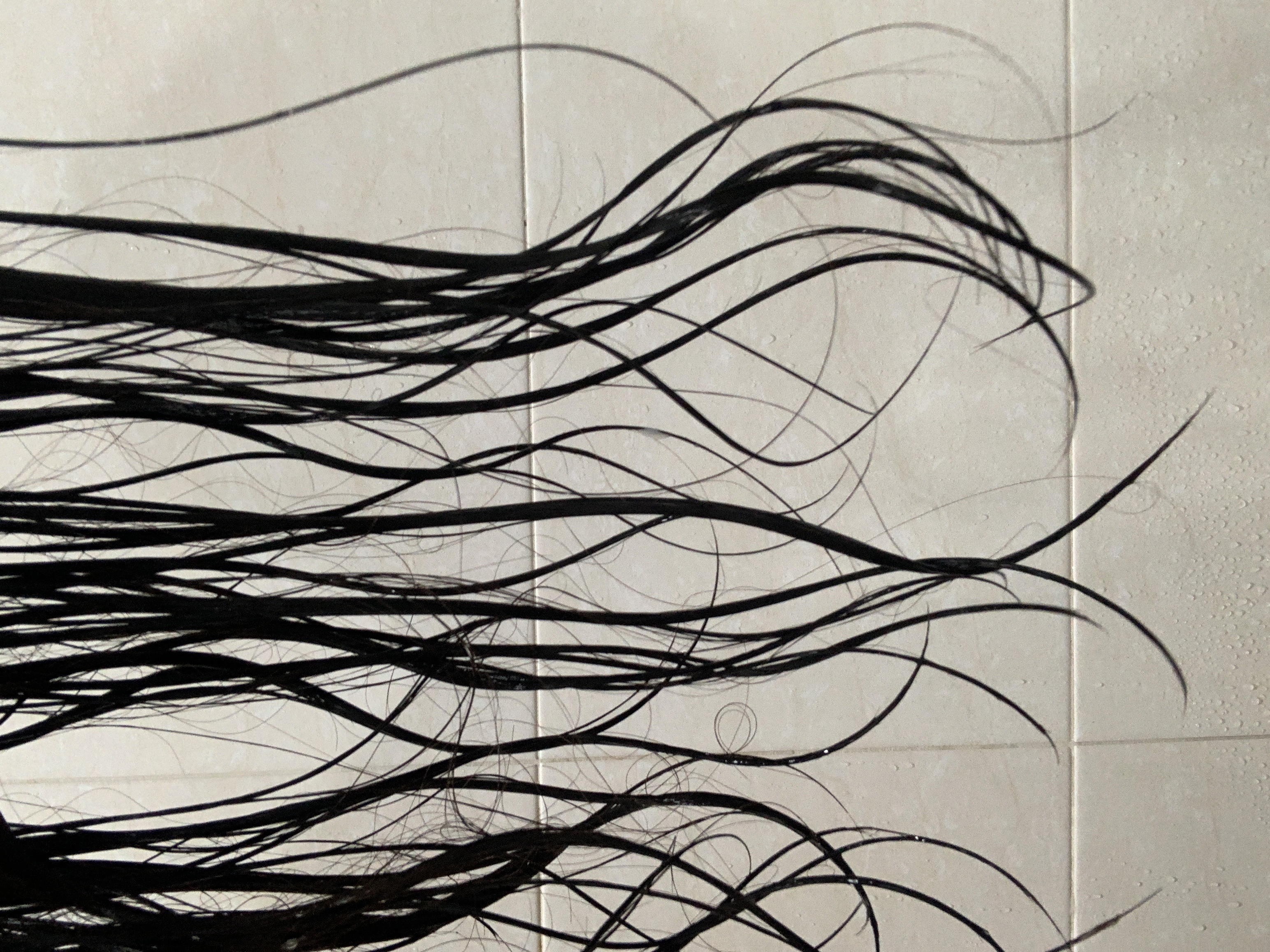 피드이미지정보-2