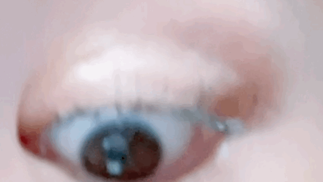 피드이미지정보-2