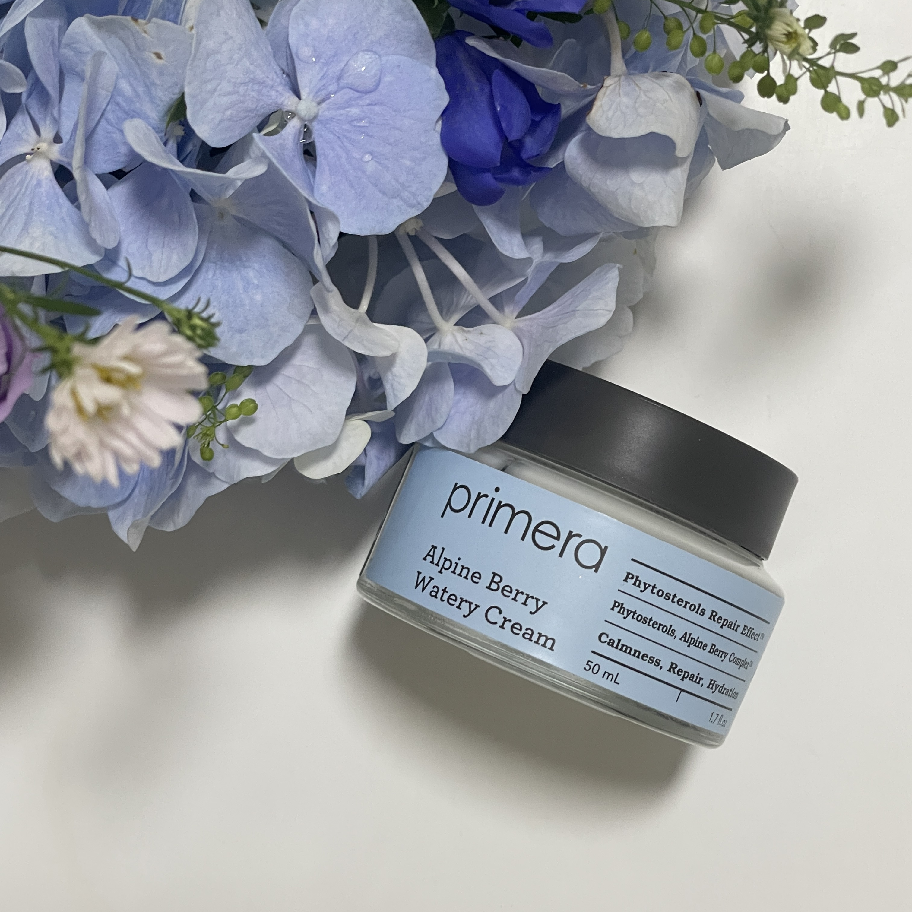 피드이미지정보-0