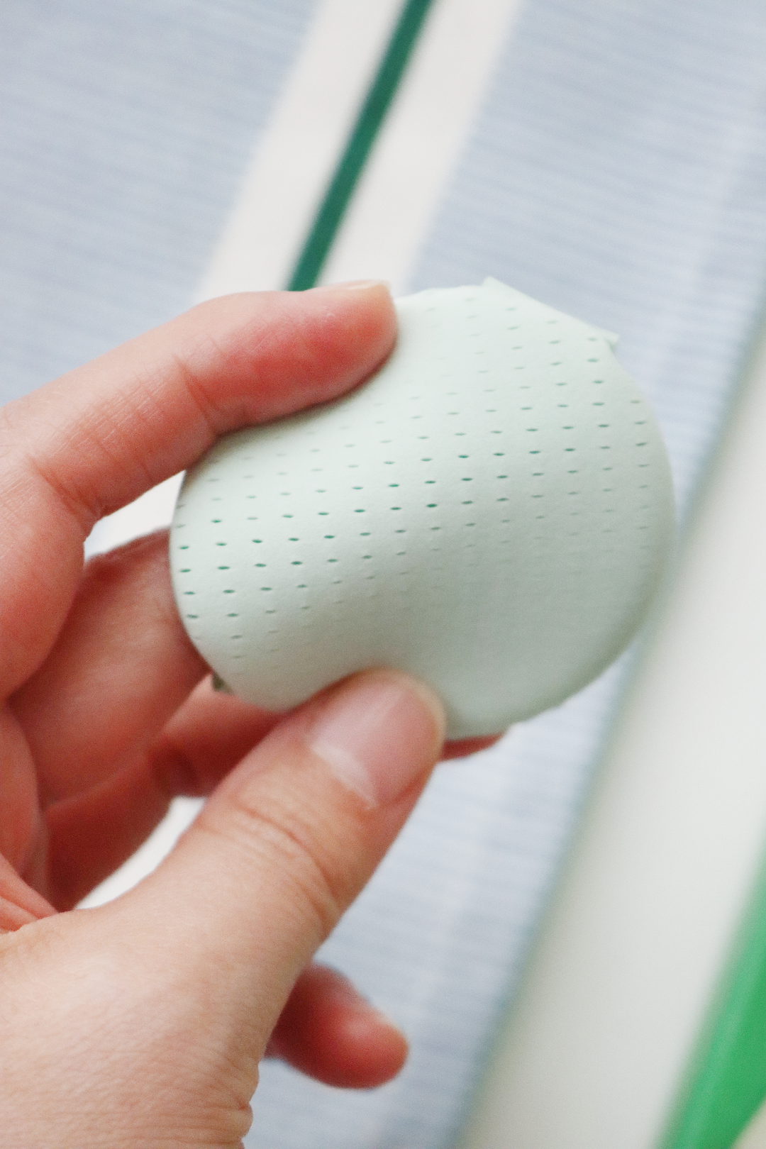 피드이미지정보-4