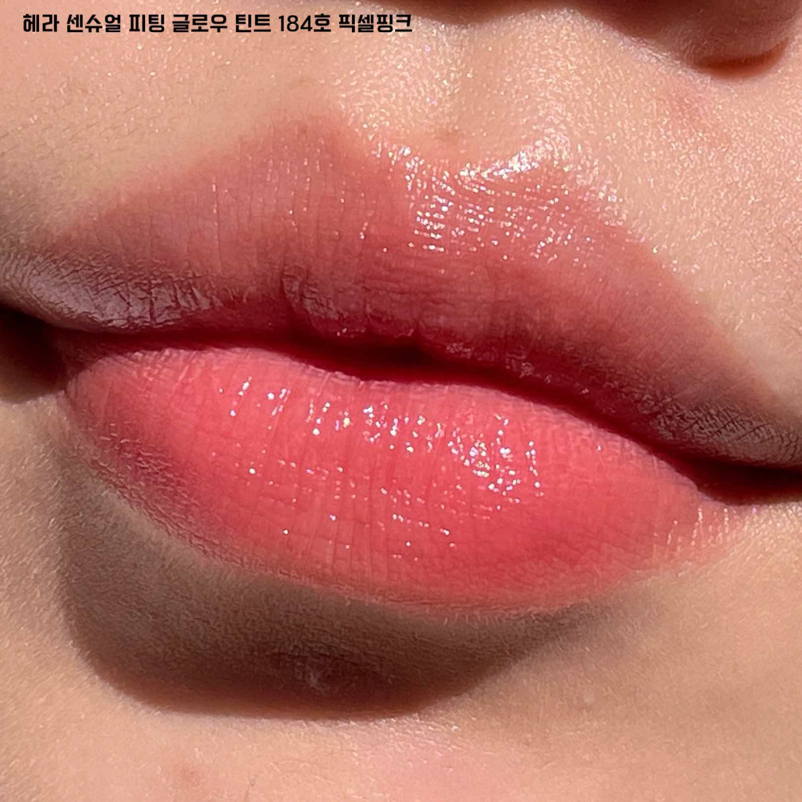 피드이미지정보-3