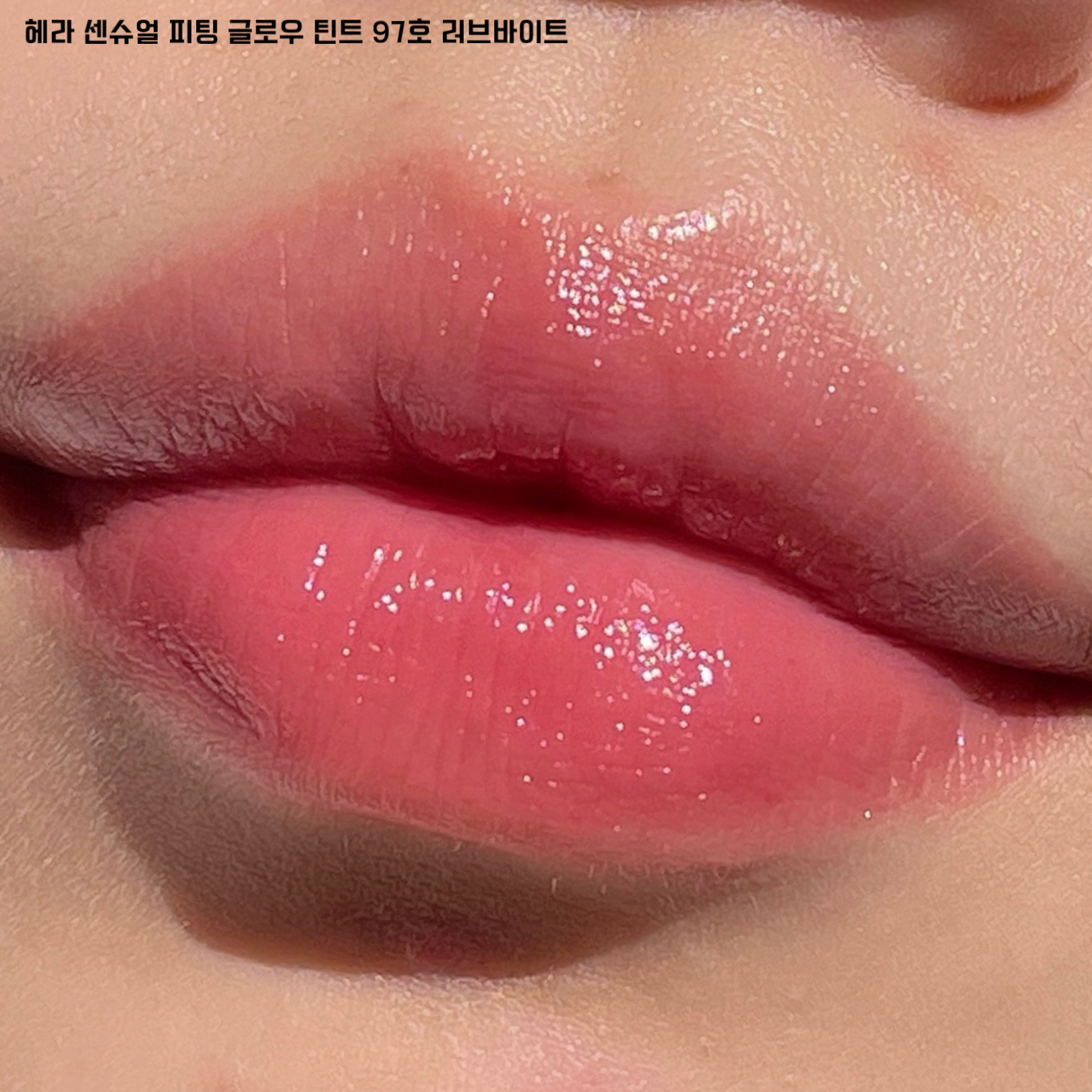 피드이미지정보-2