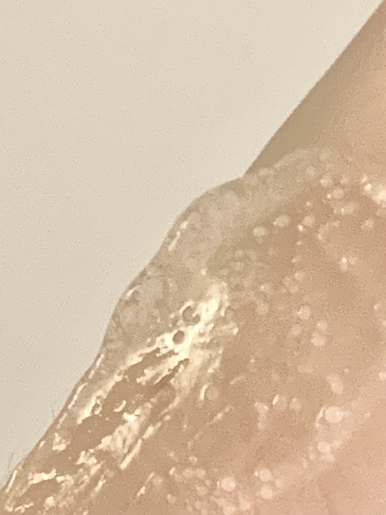 피드이미지정보-3