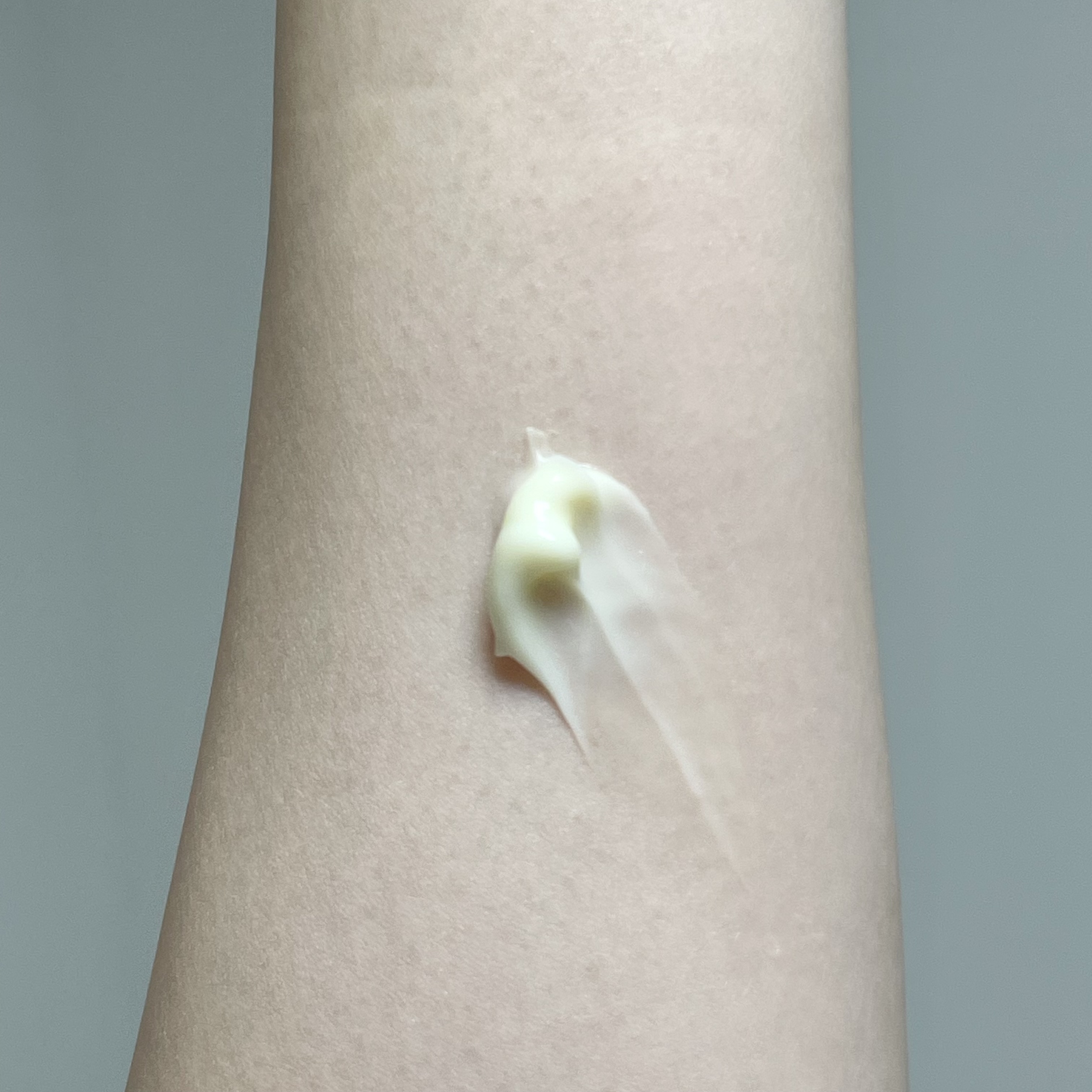 피드이미지정보-2