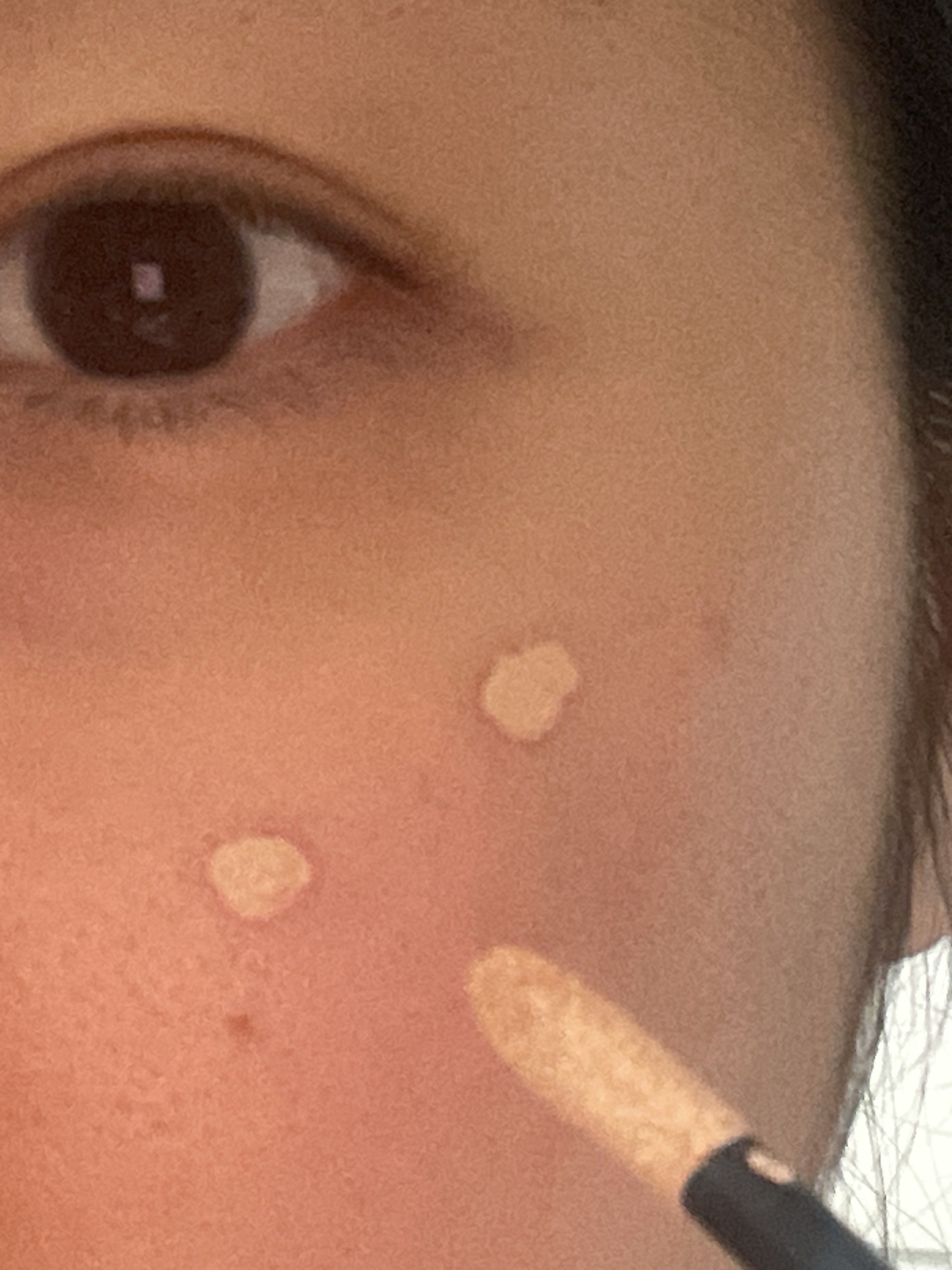 피드이미지정보-3