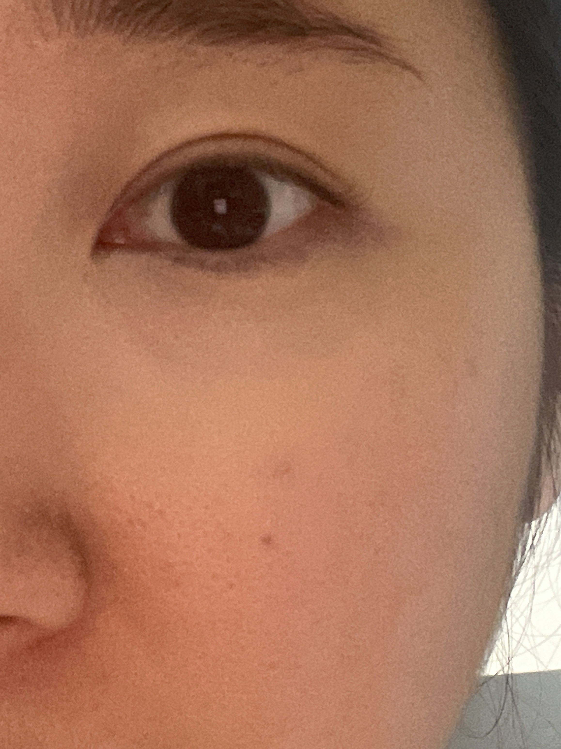 피드이미지정보-6