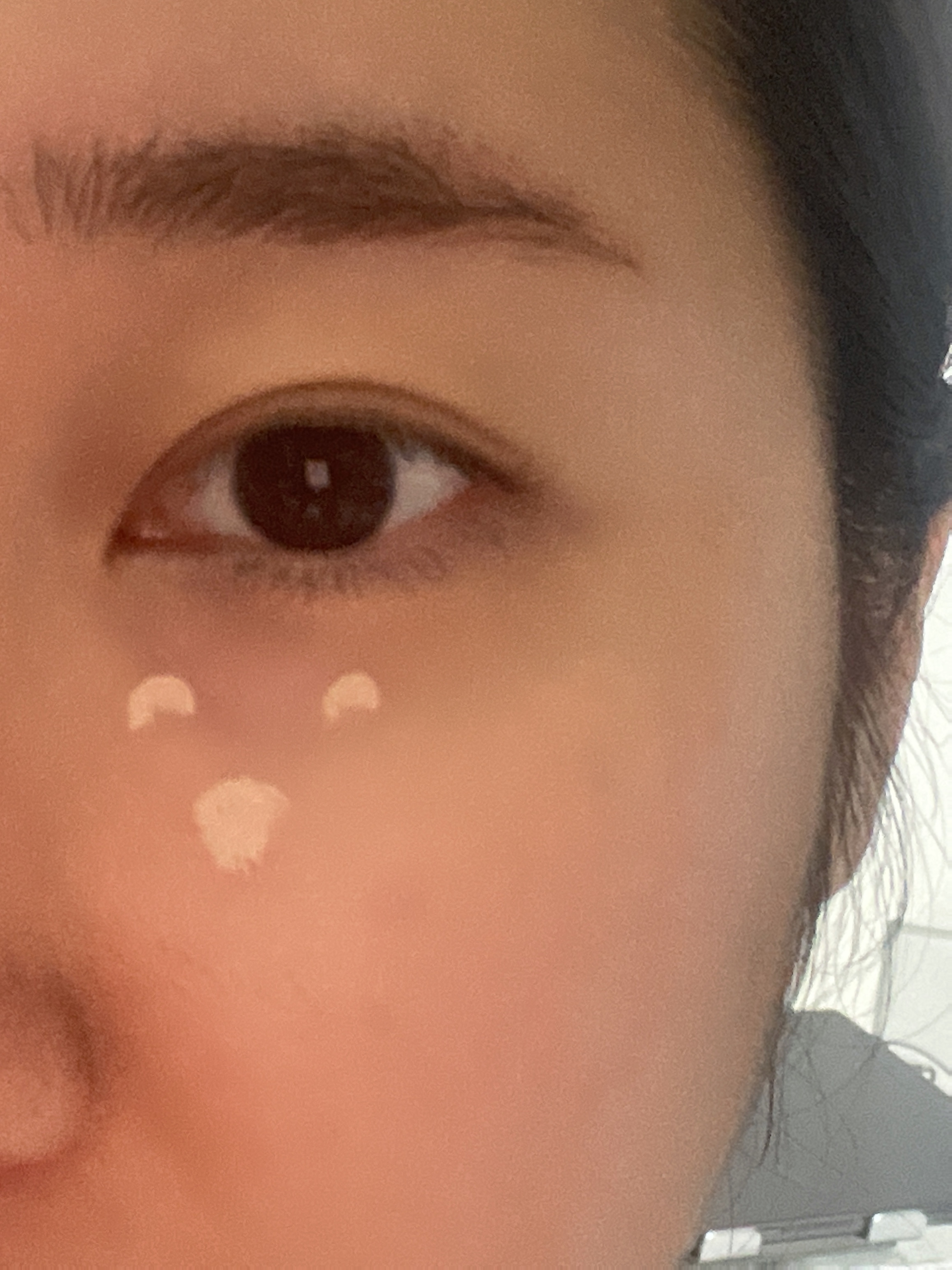 피드이미지정보-5