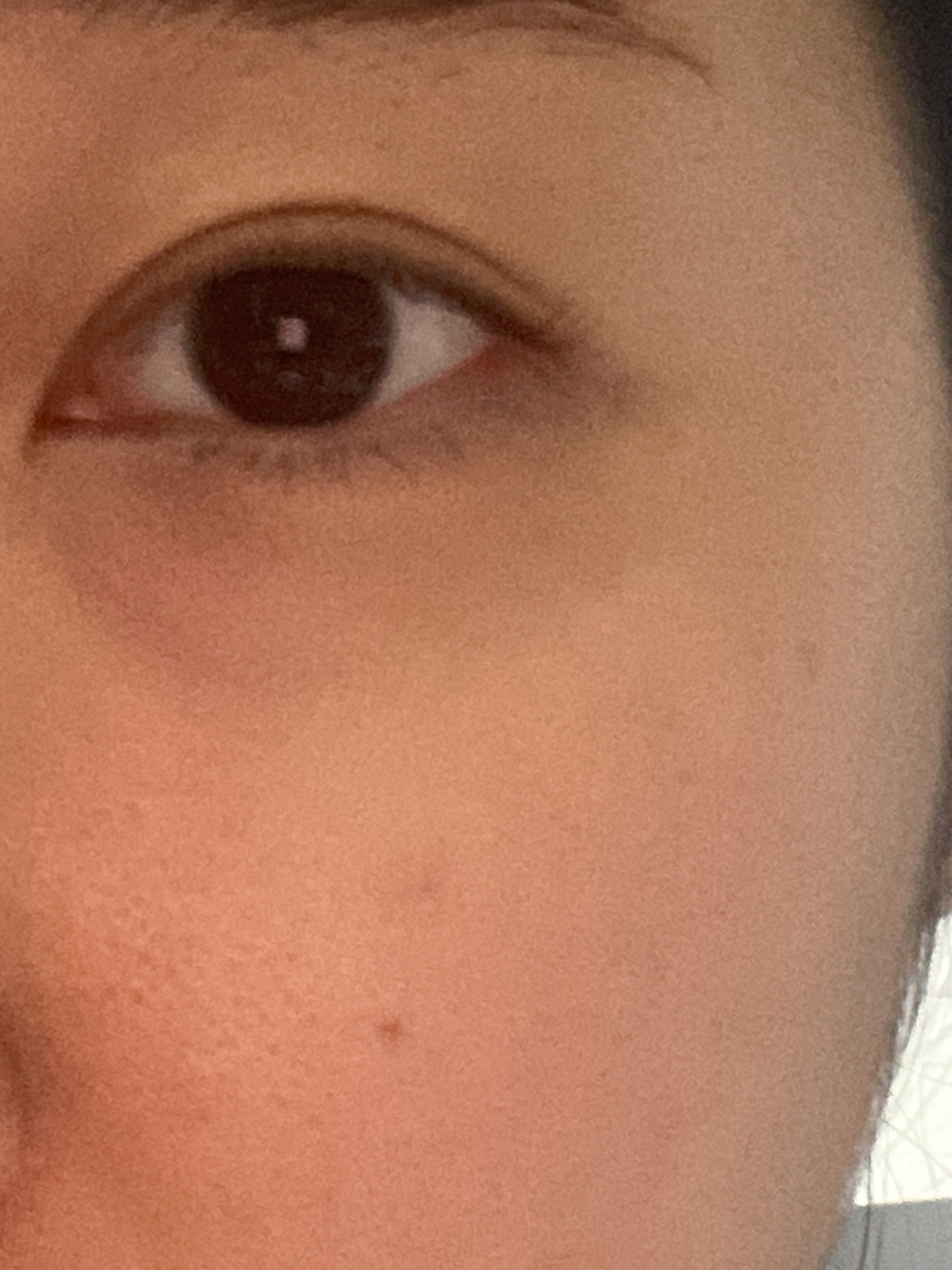 피드이미지정보-4