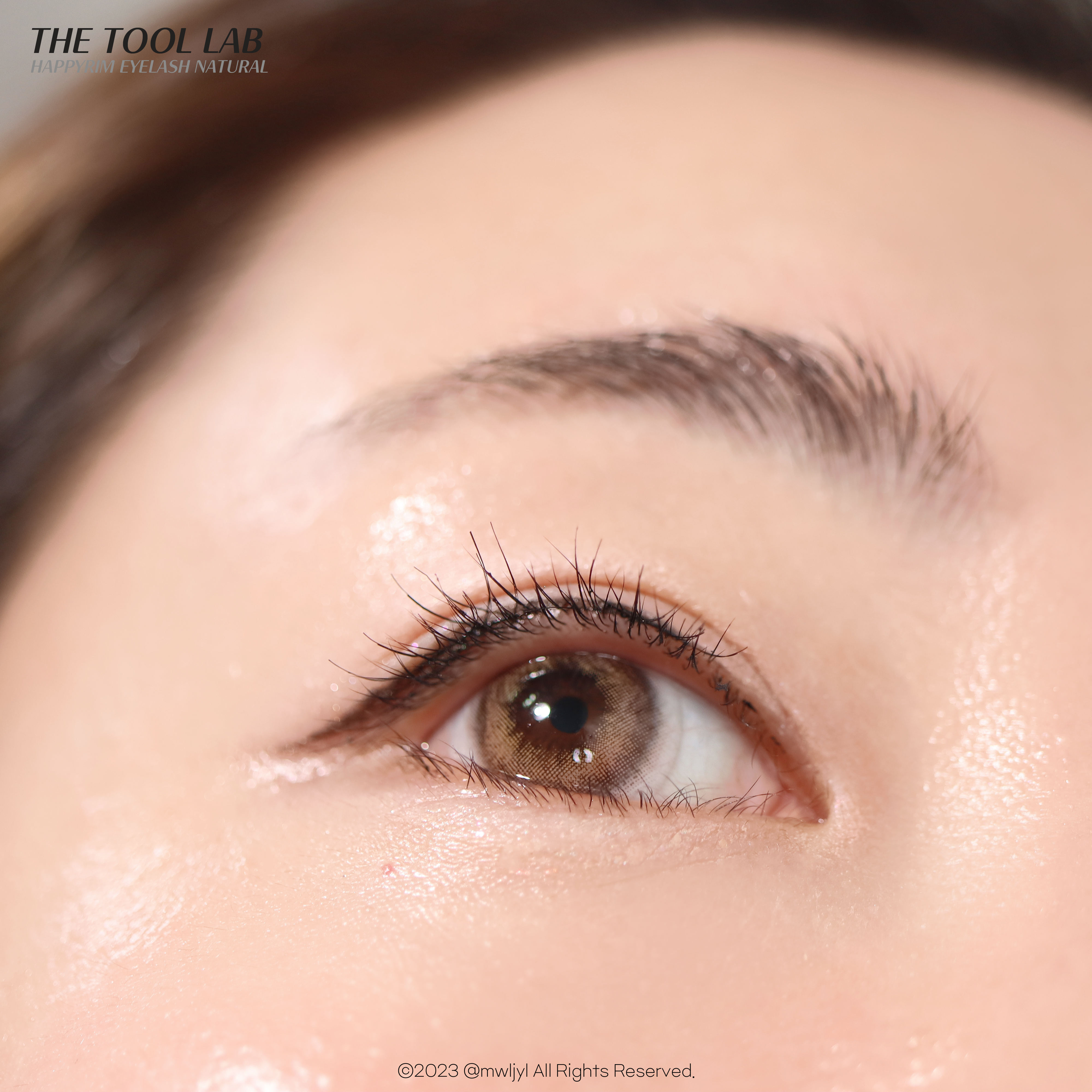 피드이미지정보-3