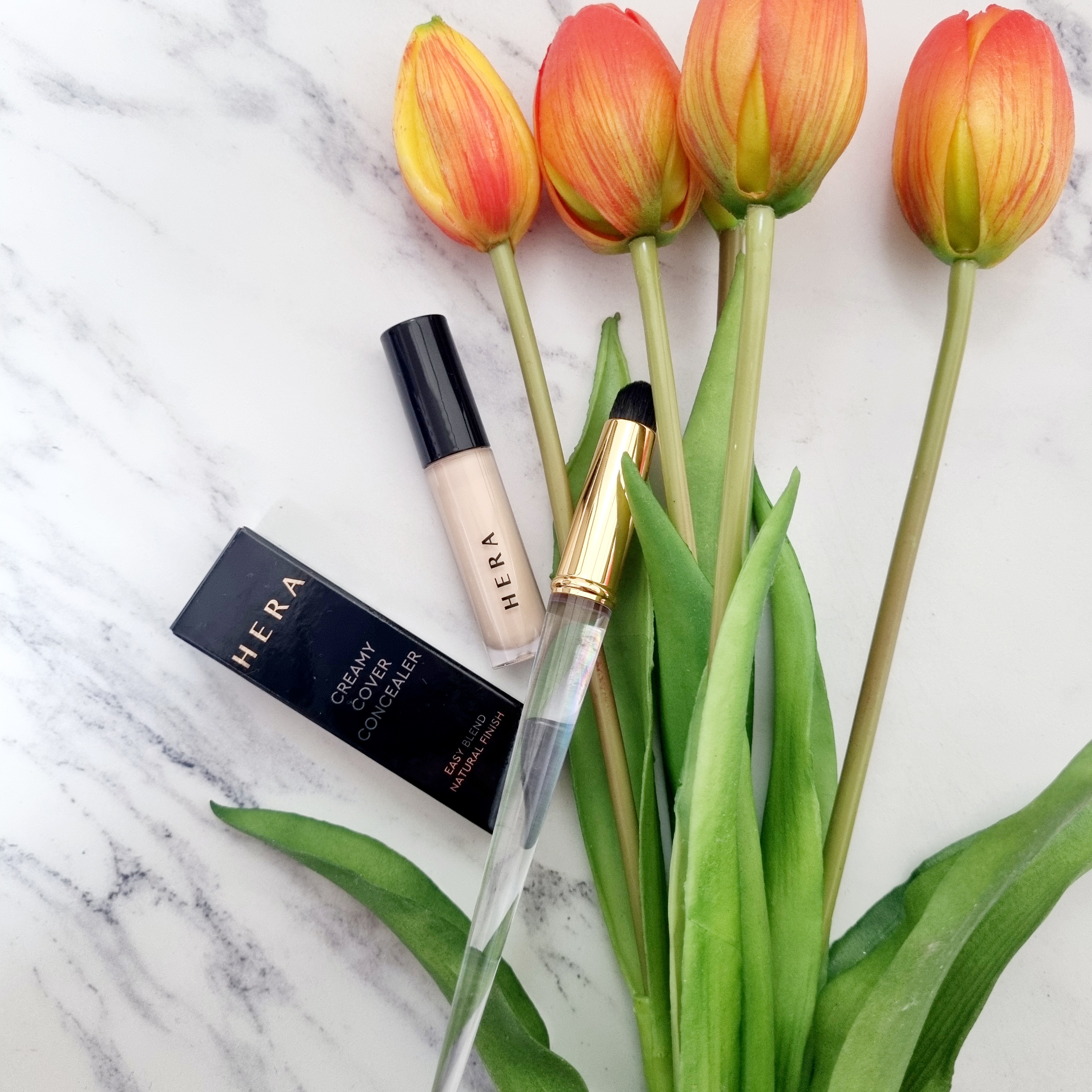 피드이미지정보-0