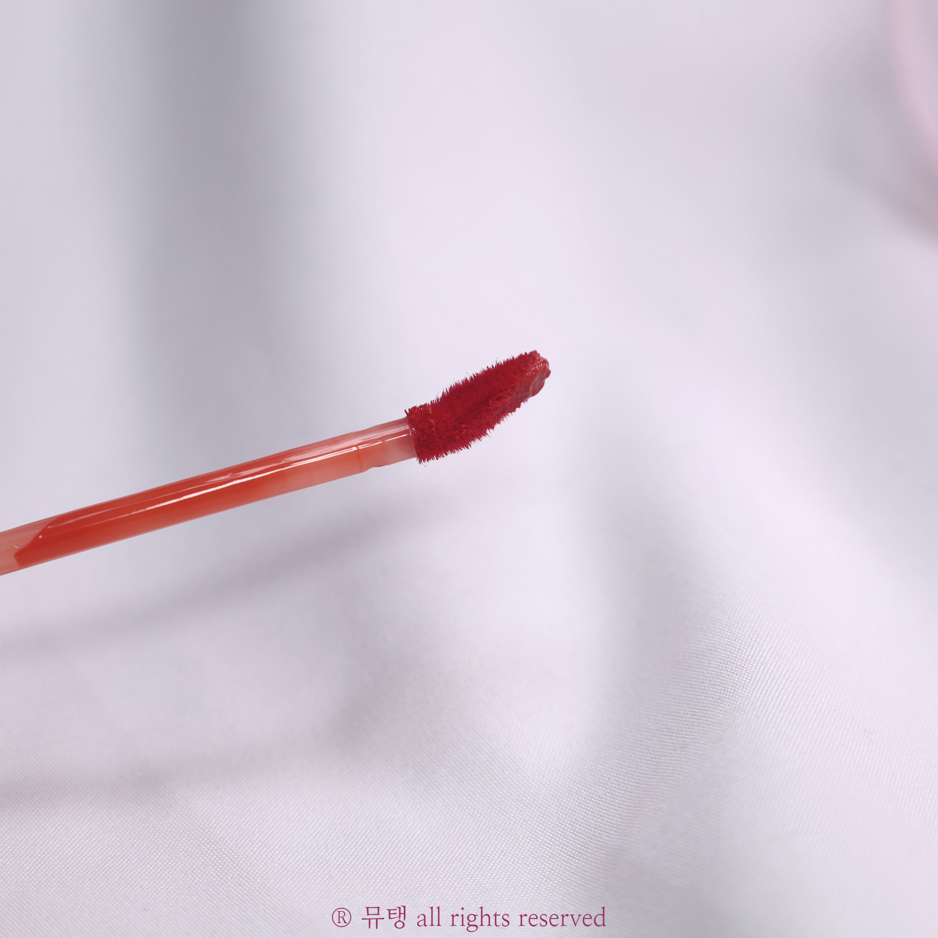 피드이미지정보-3