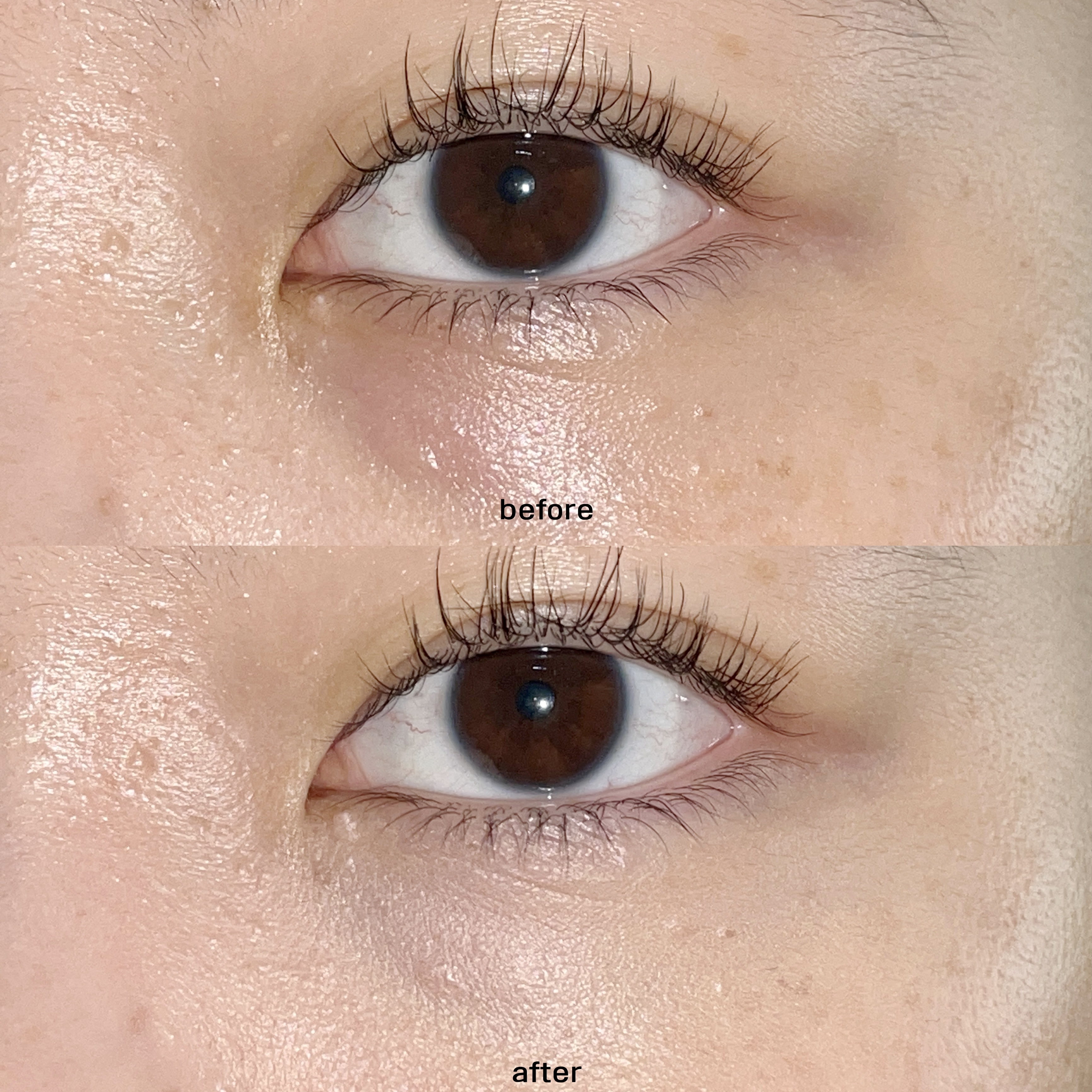 피드이미지정보-1