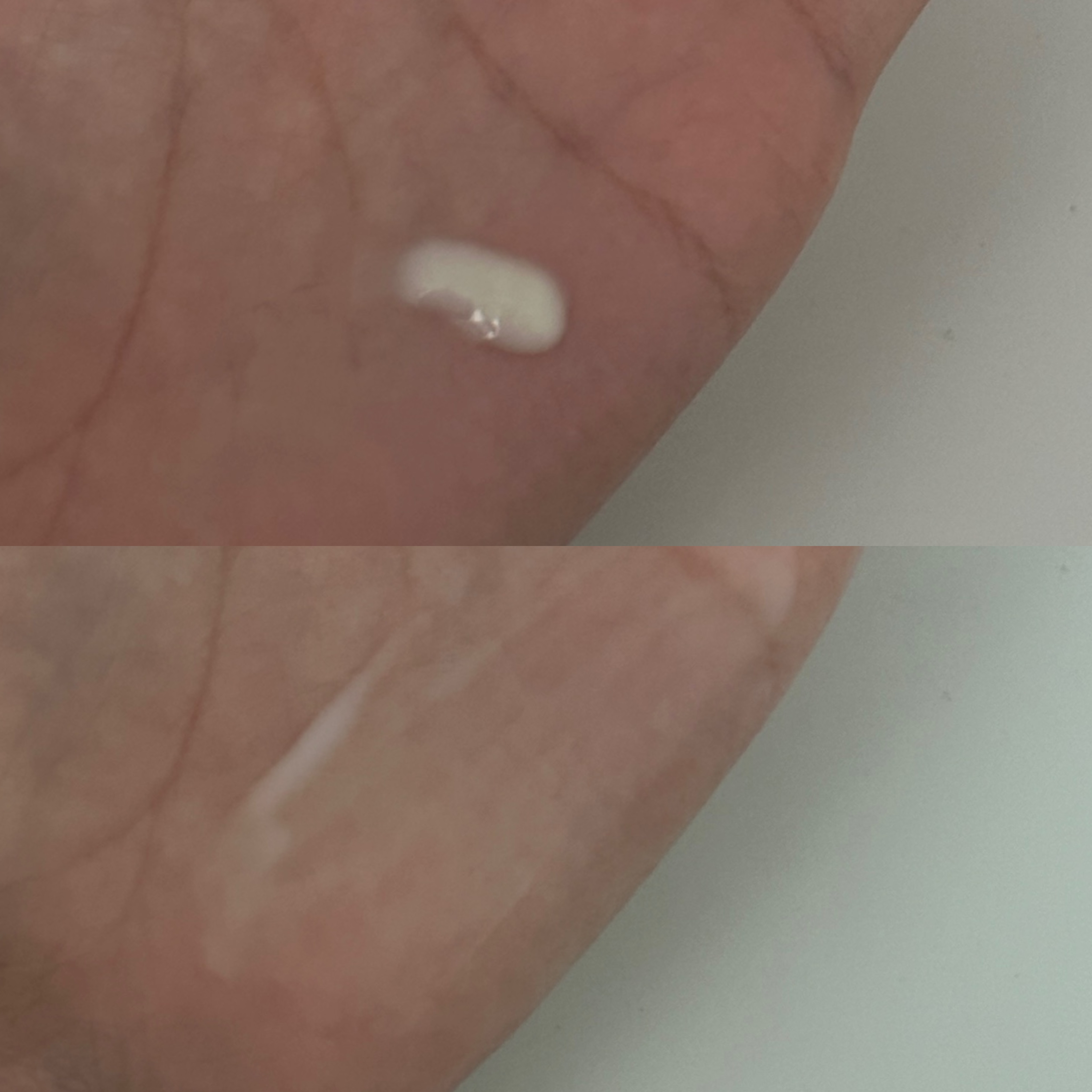 피드이미지정보-2