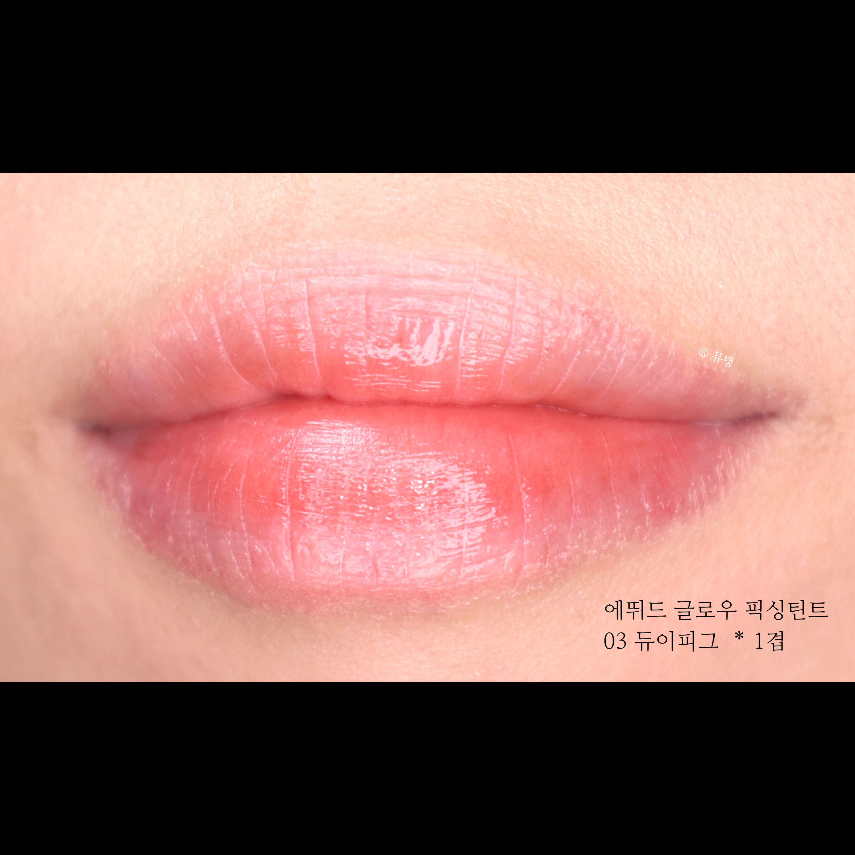 피드이미지정보-5