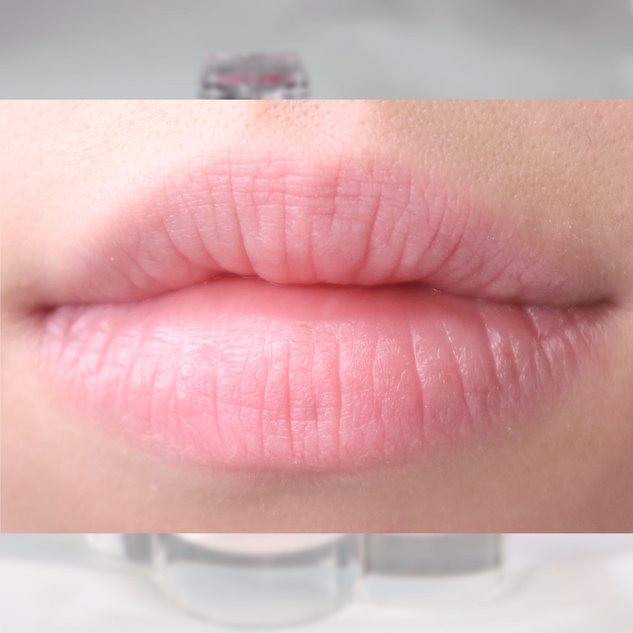 피드이미지정보-4