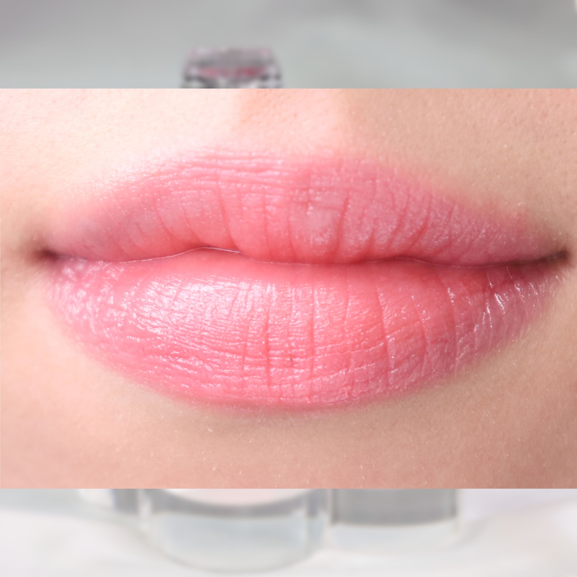 피드이미지정보-5