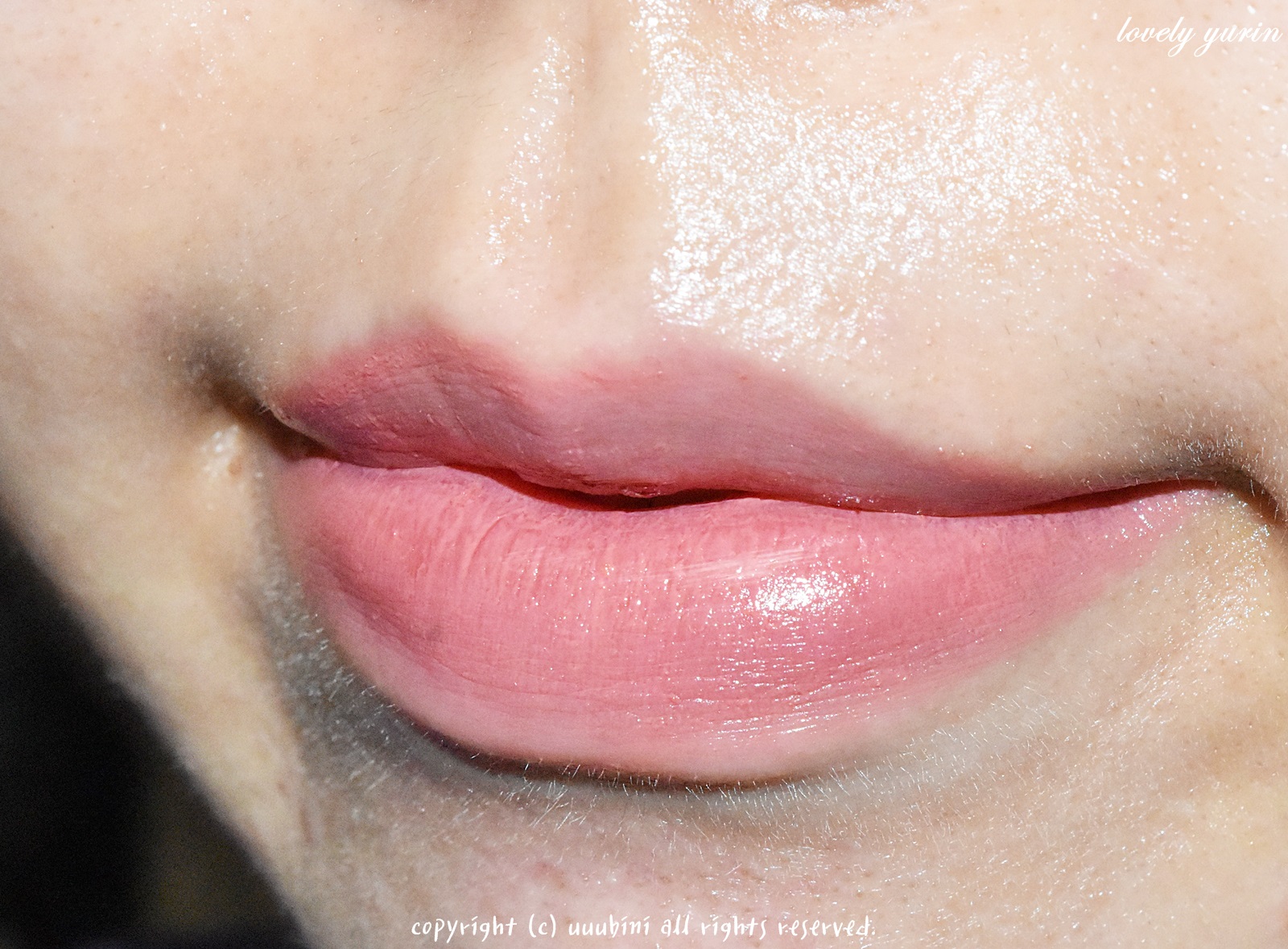 피드이미지정보-4