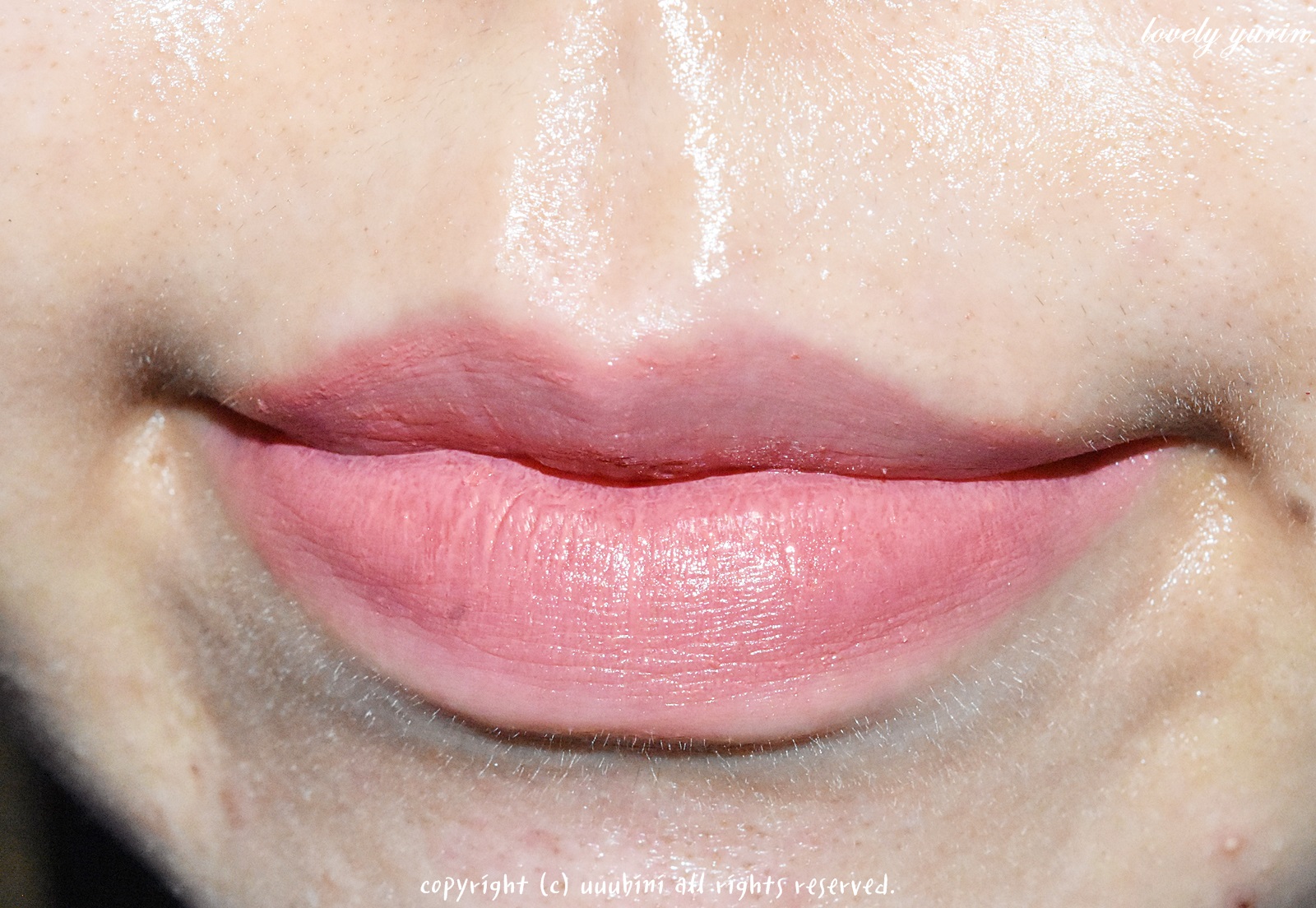 피드이미지정보-3