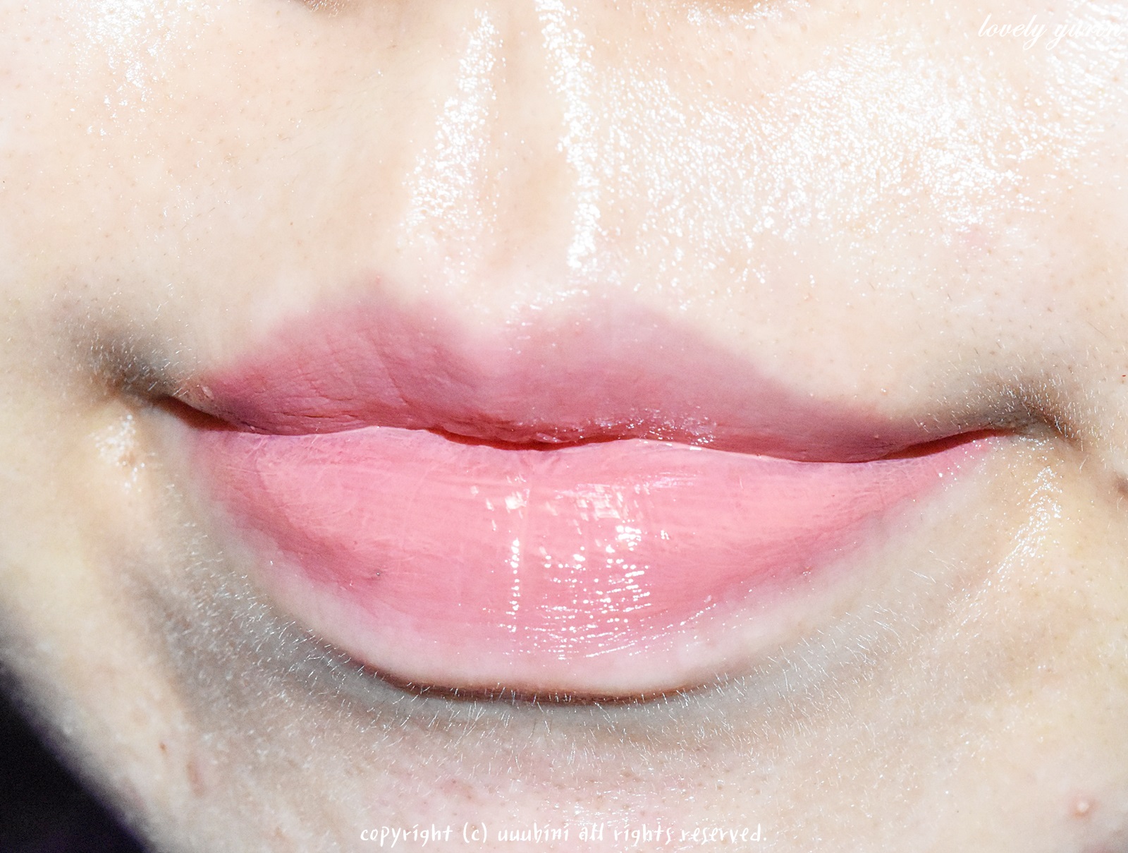 피드이미지정보-2