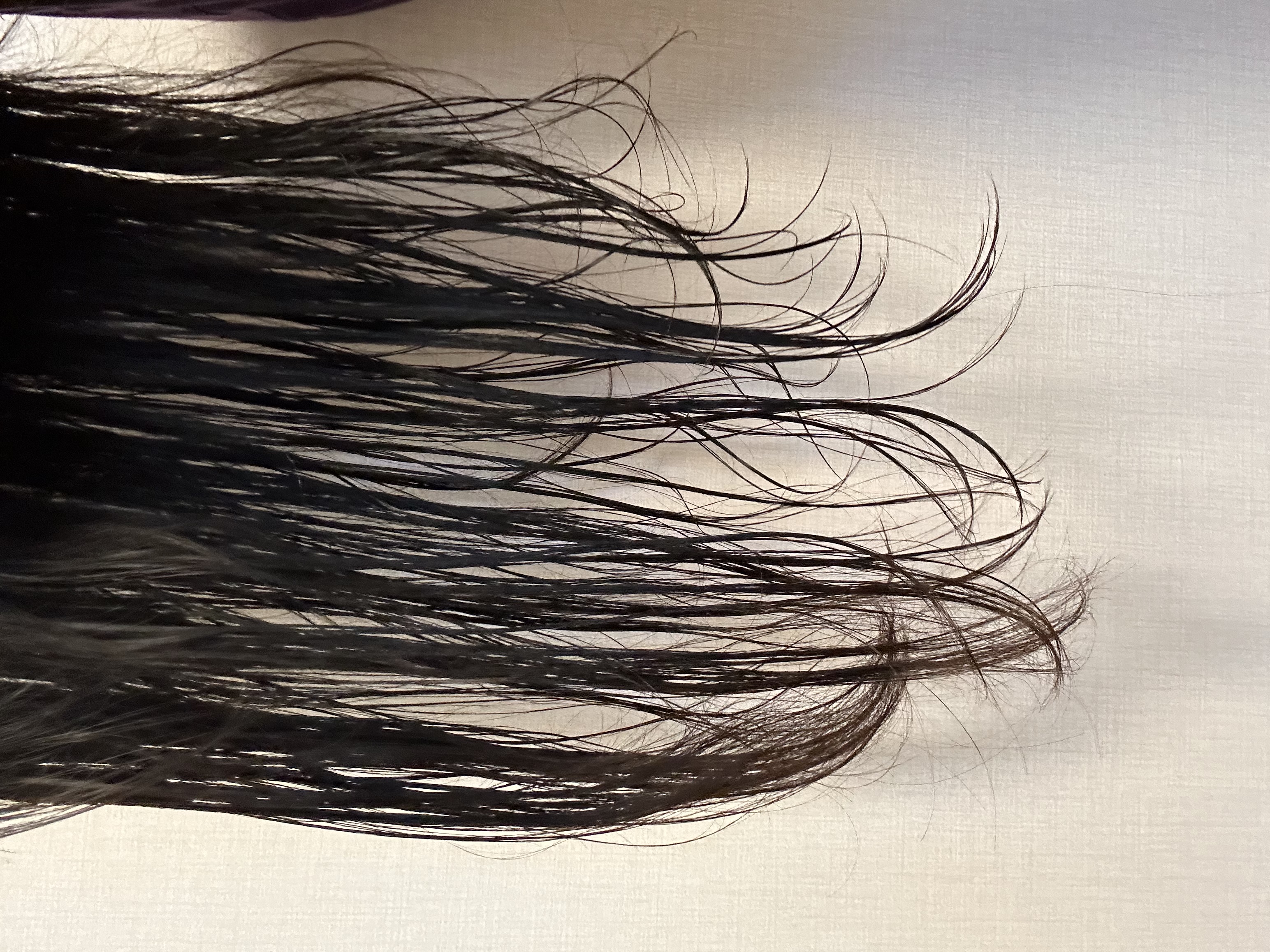 피드이미지정보-3