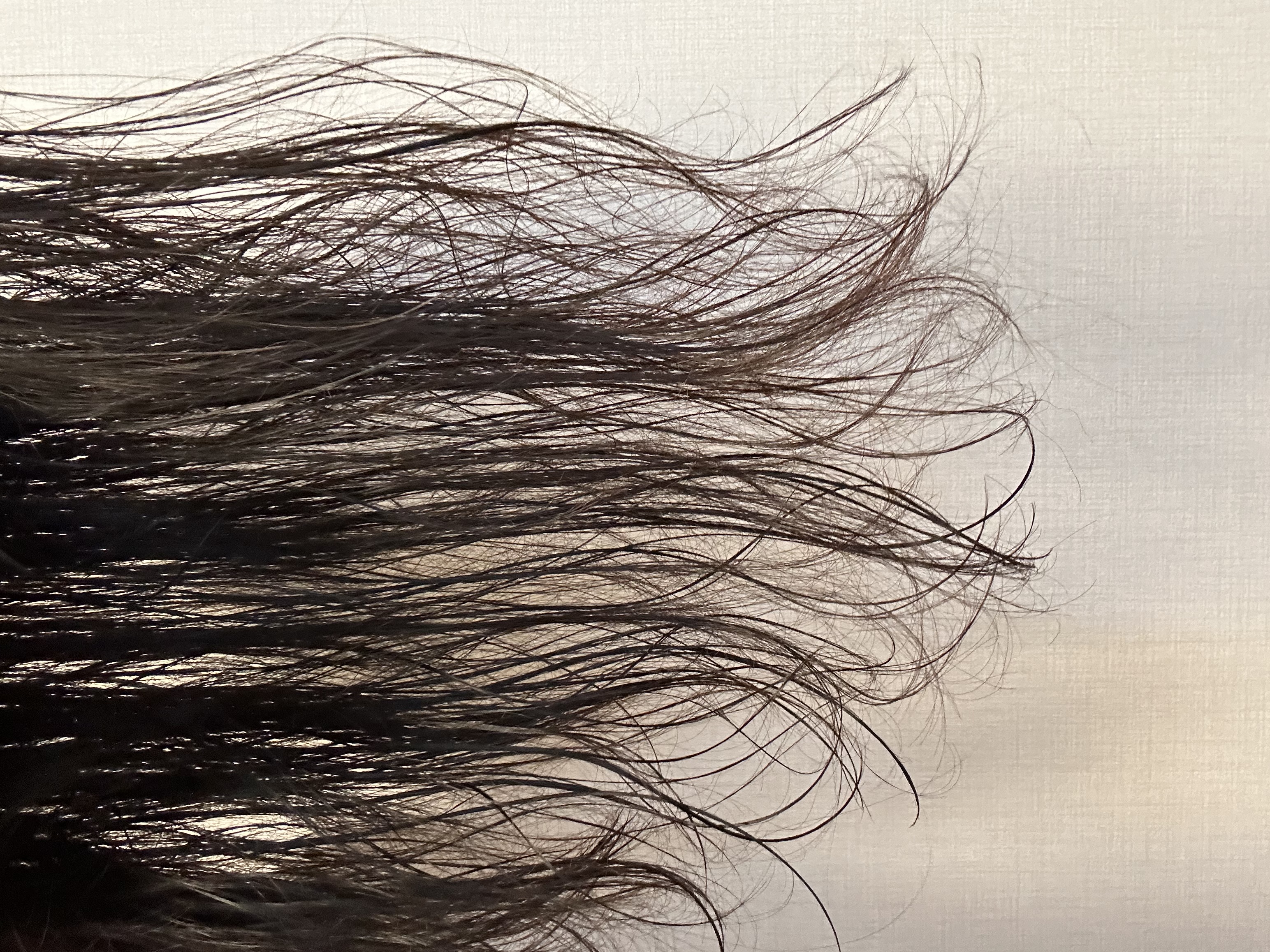 피드이미지정보-1