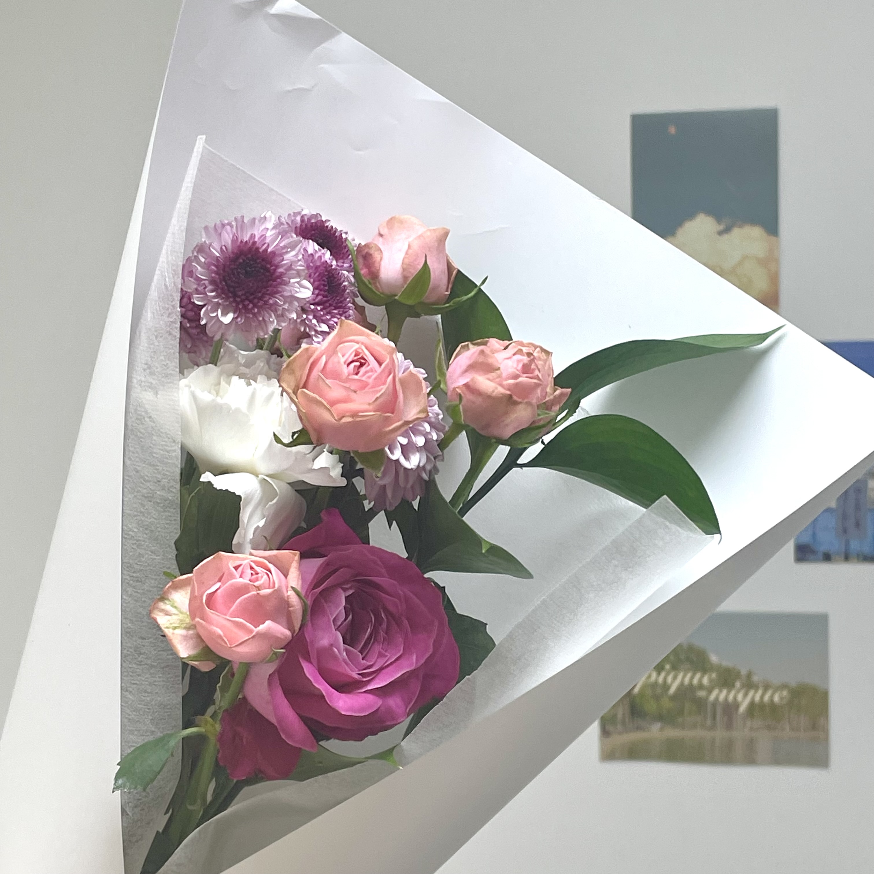 피드이미지정보-2