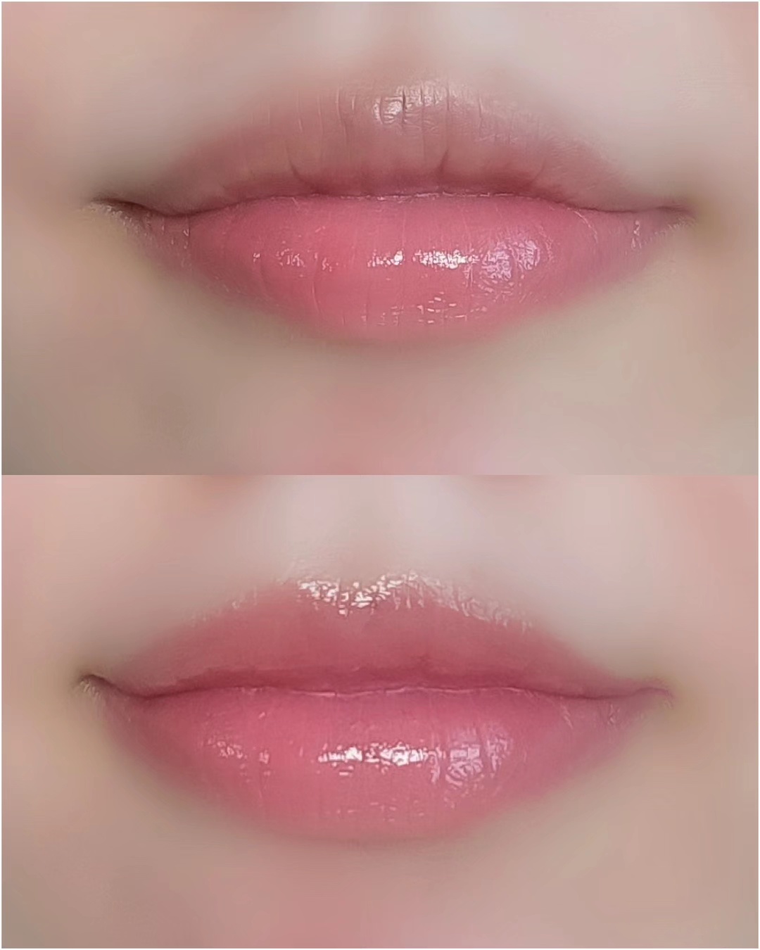 피드이미지정보-3