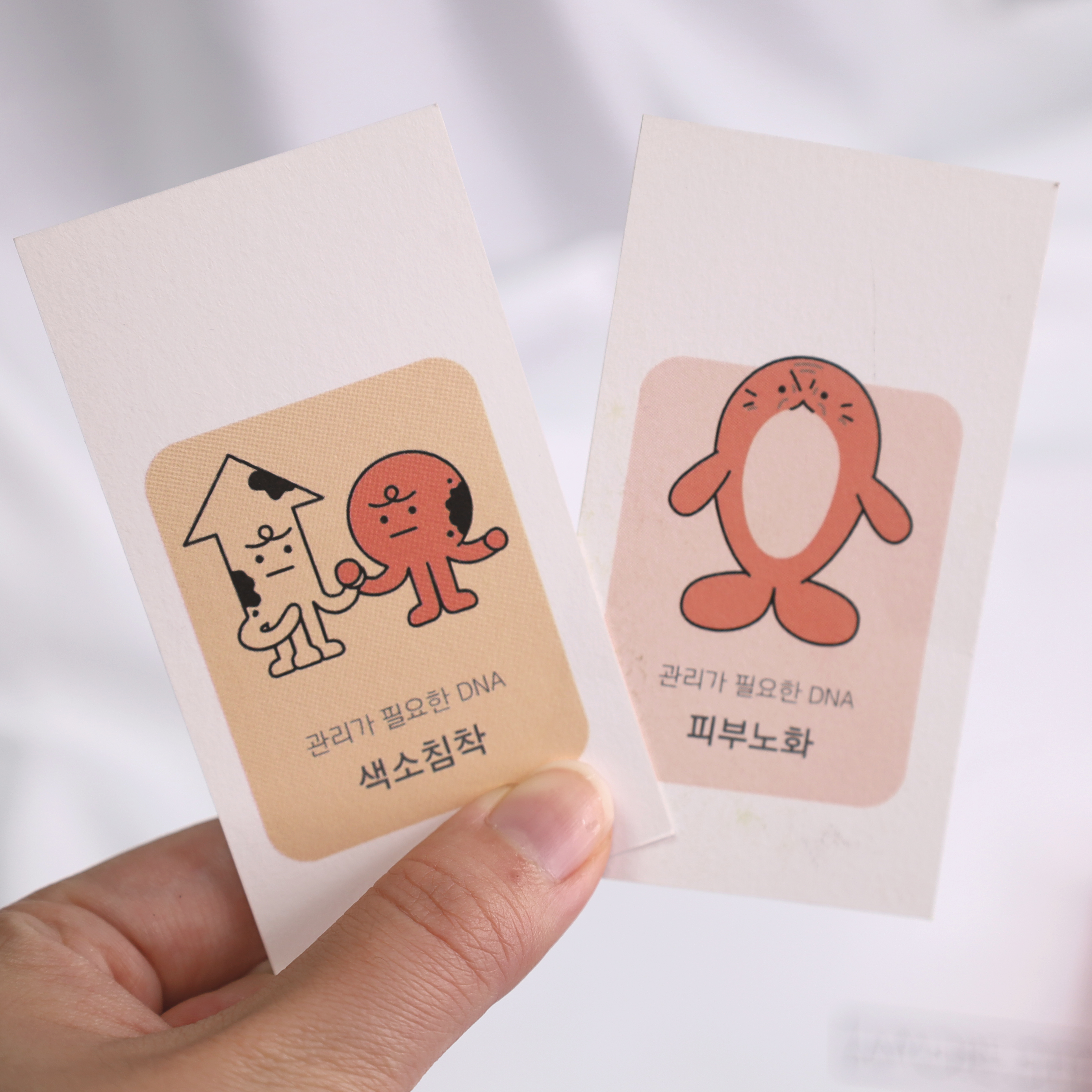 피드이미지정보-1