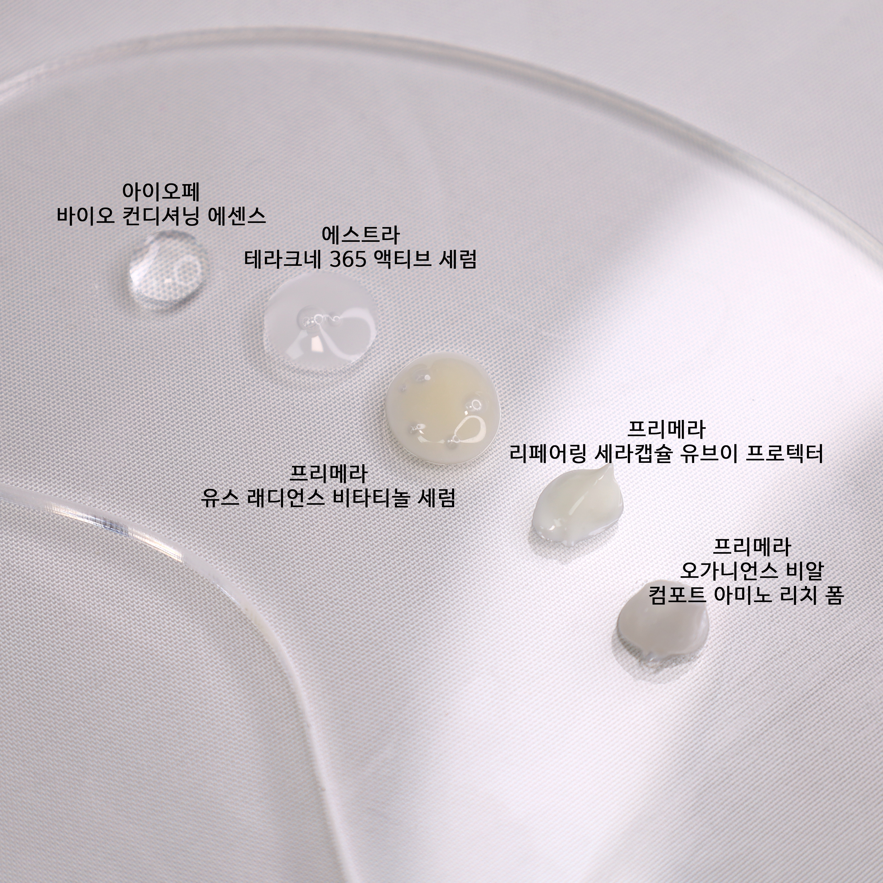 피드이미지정보-6