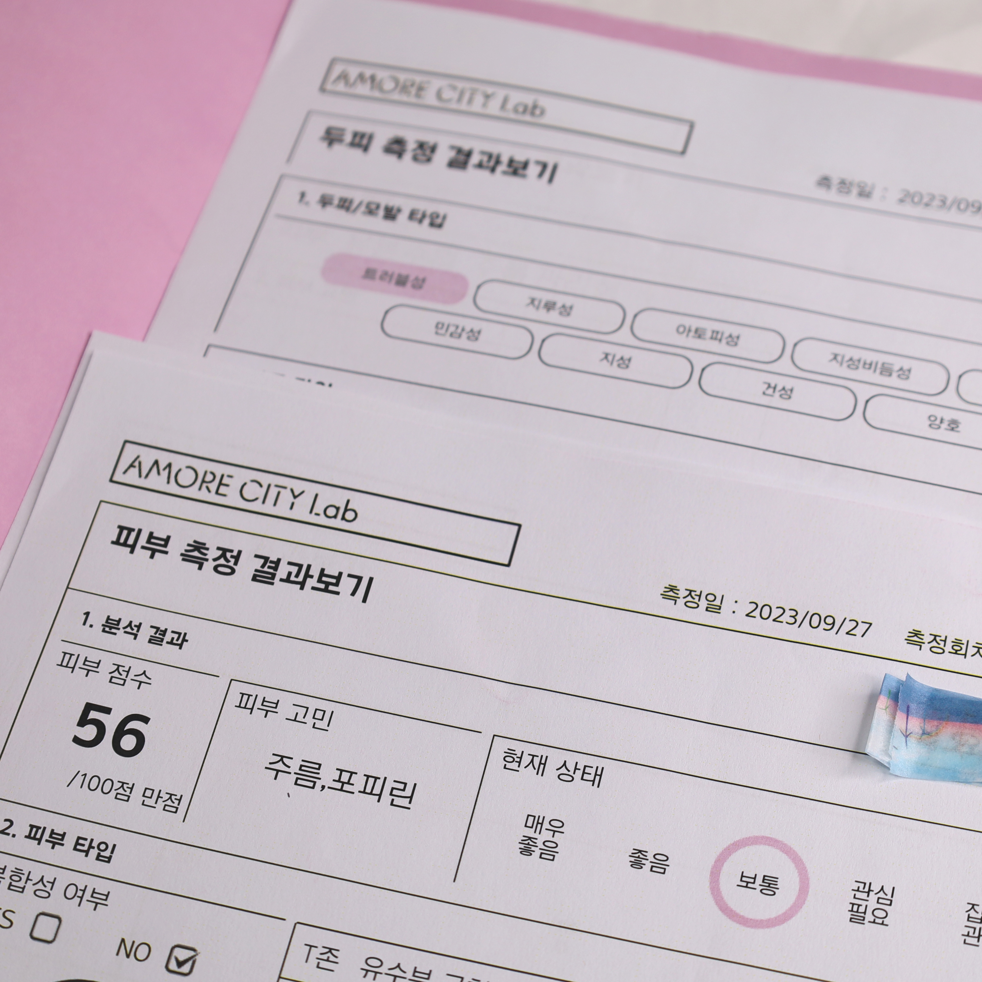 피드이미지정보-3