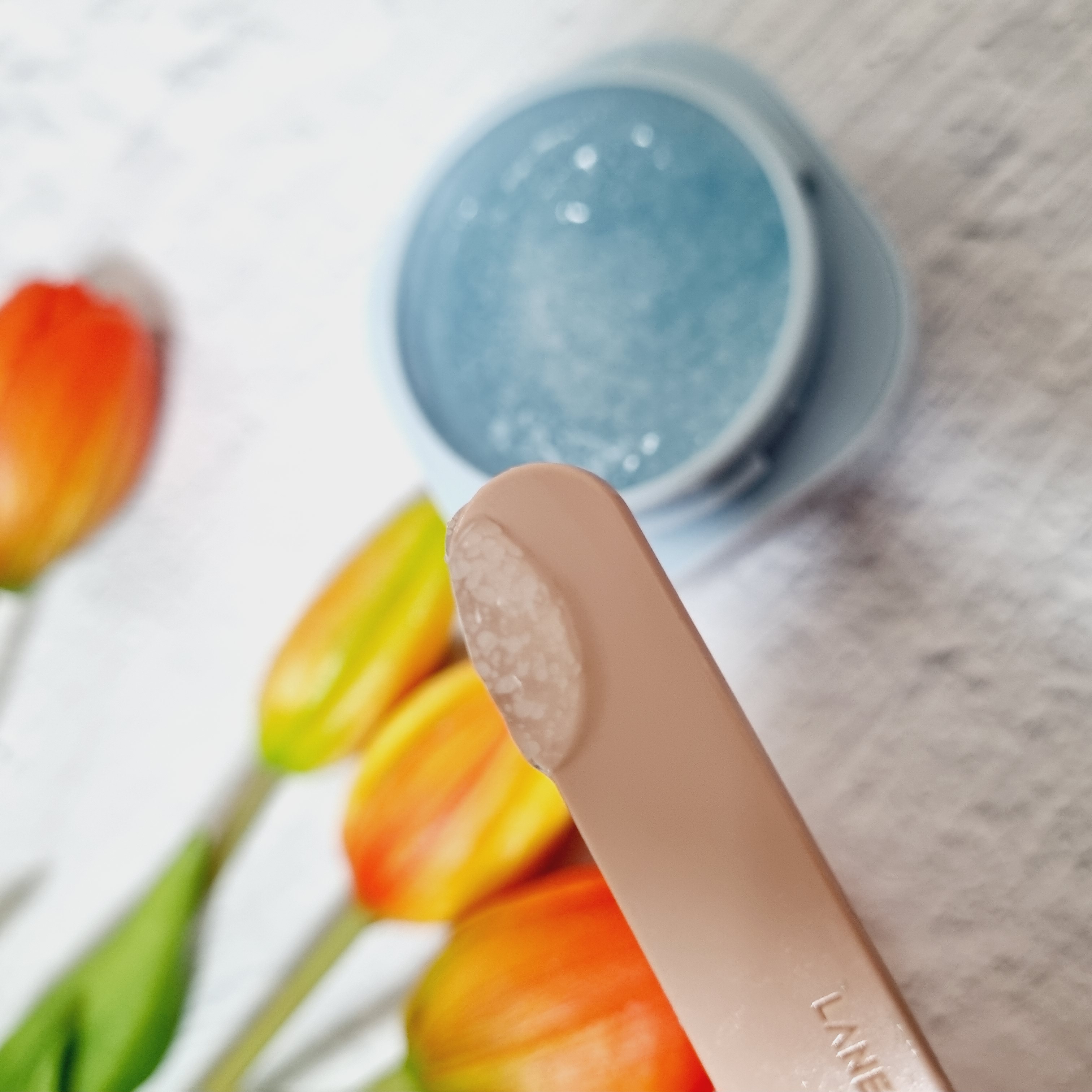 피드이미지정보-3