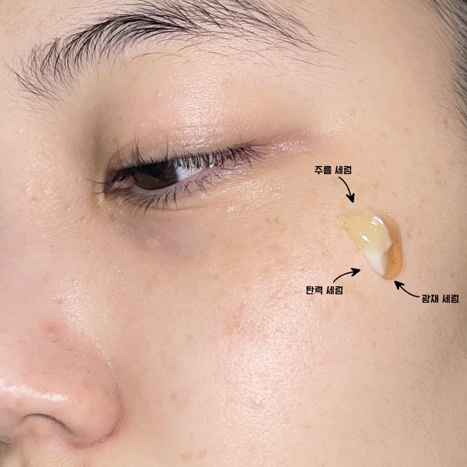 피드이미지정보-2