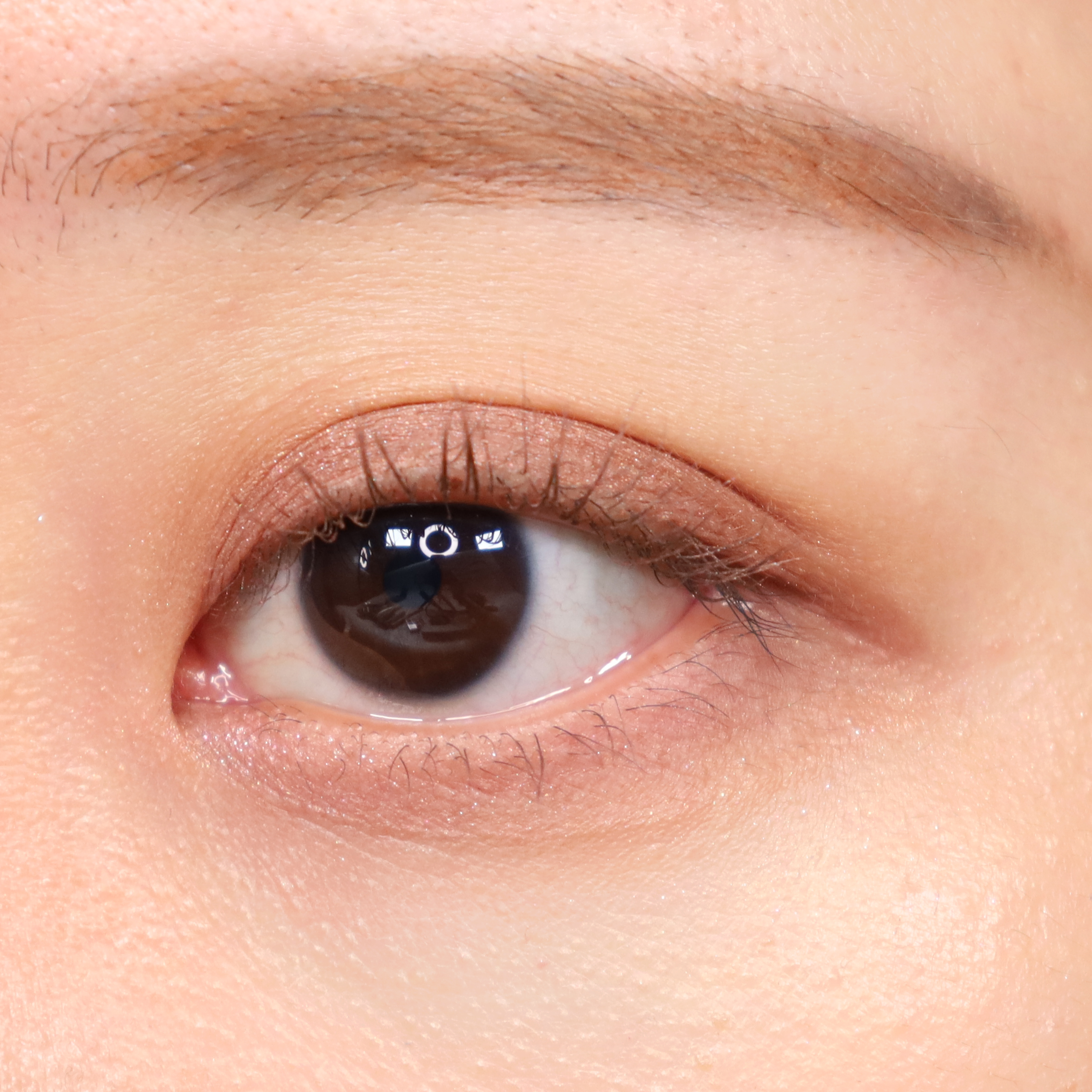 피드이미지정보-2