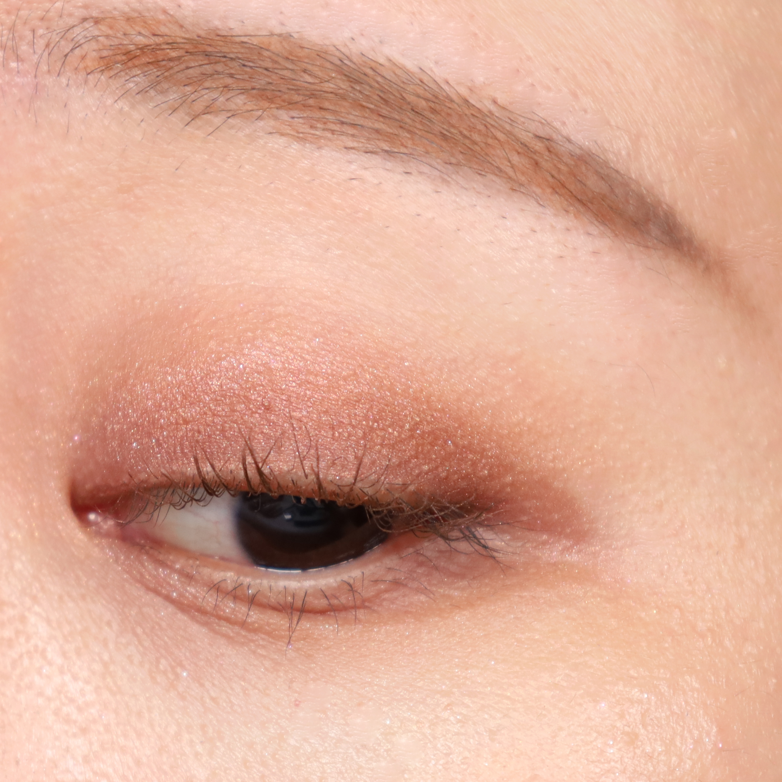 피드이미지정보-5